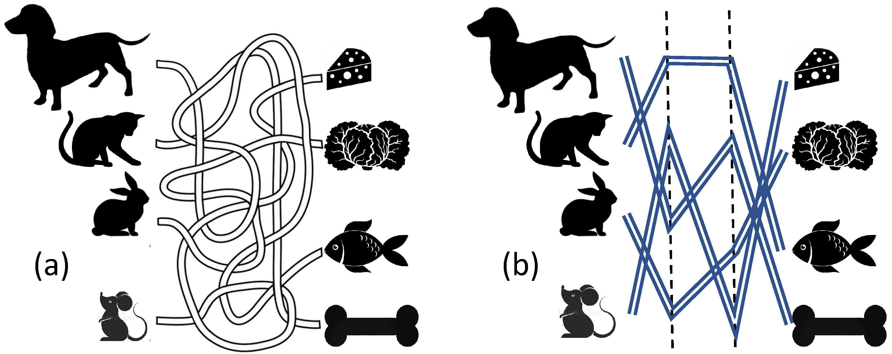 Entropy 24 01635 g002