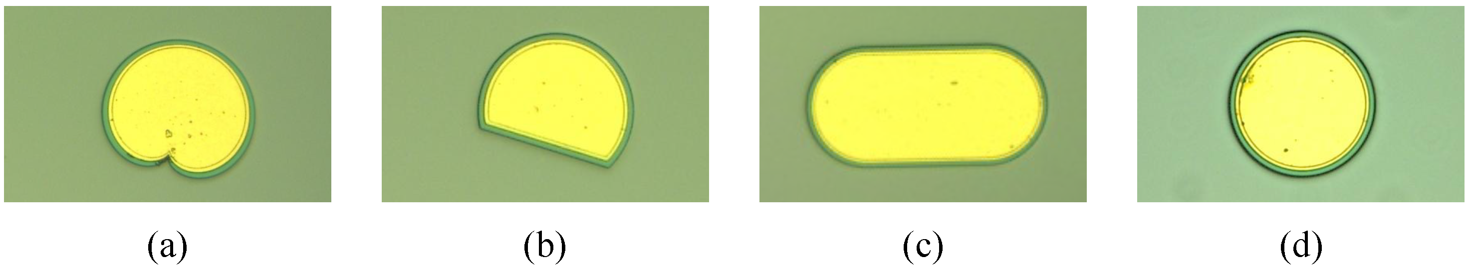 Entropy 24 01648 g011