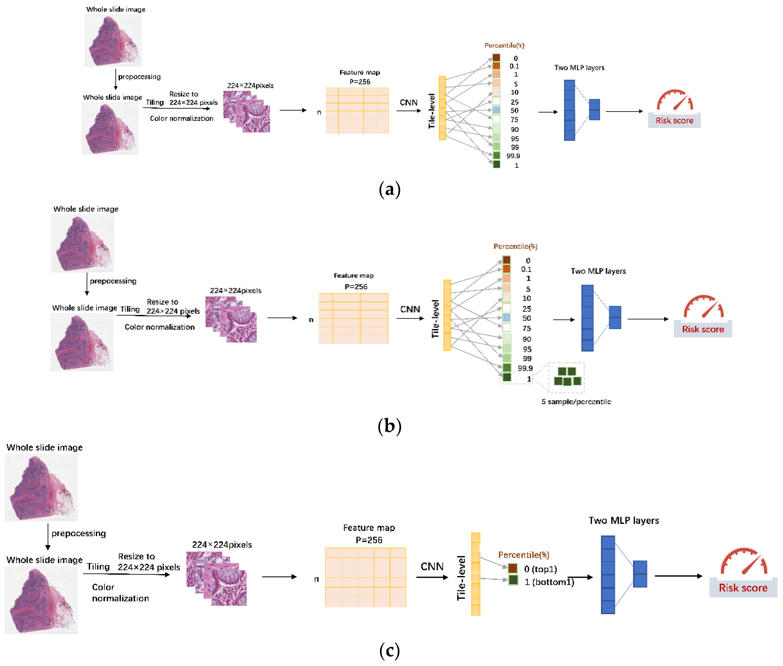 Entropy 24 01669 g001