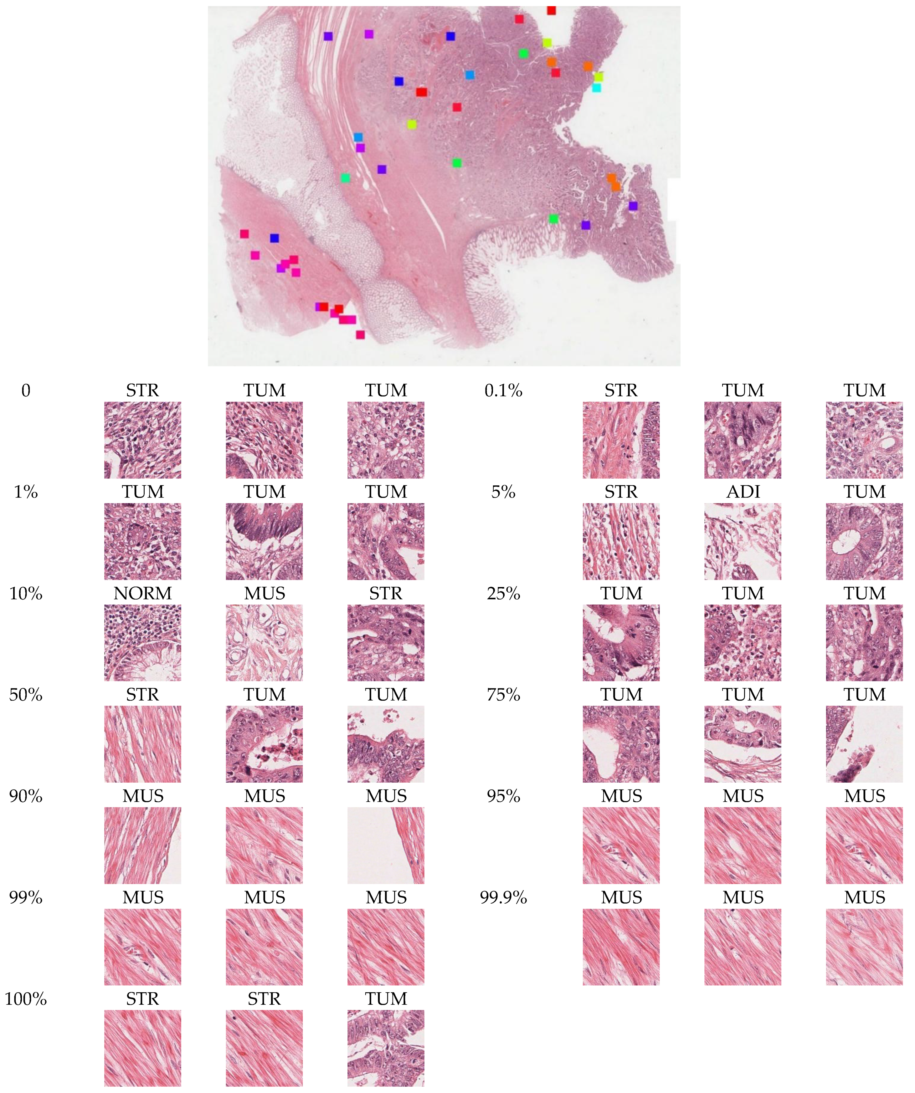 Entropy 24 01669 g007