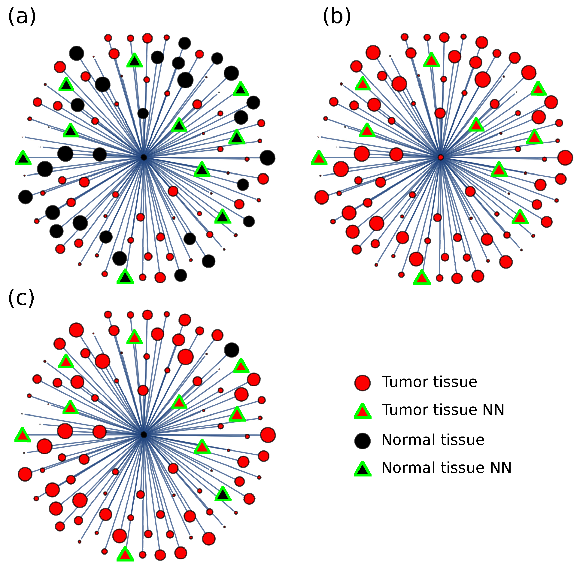 Entropy 24 01744 g004