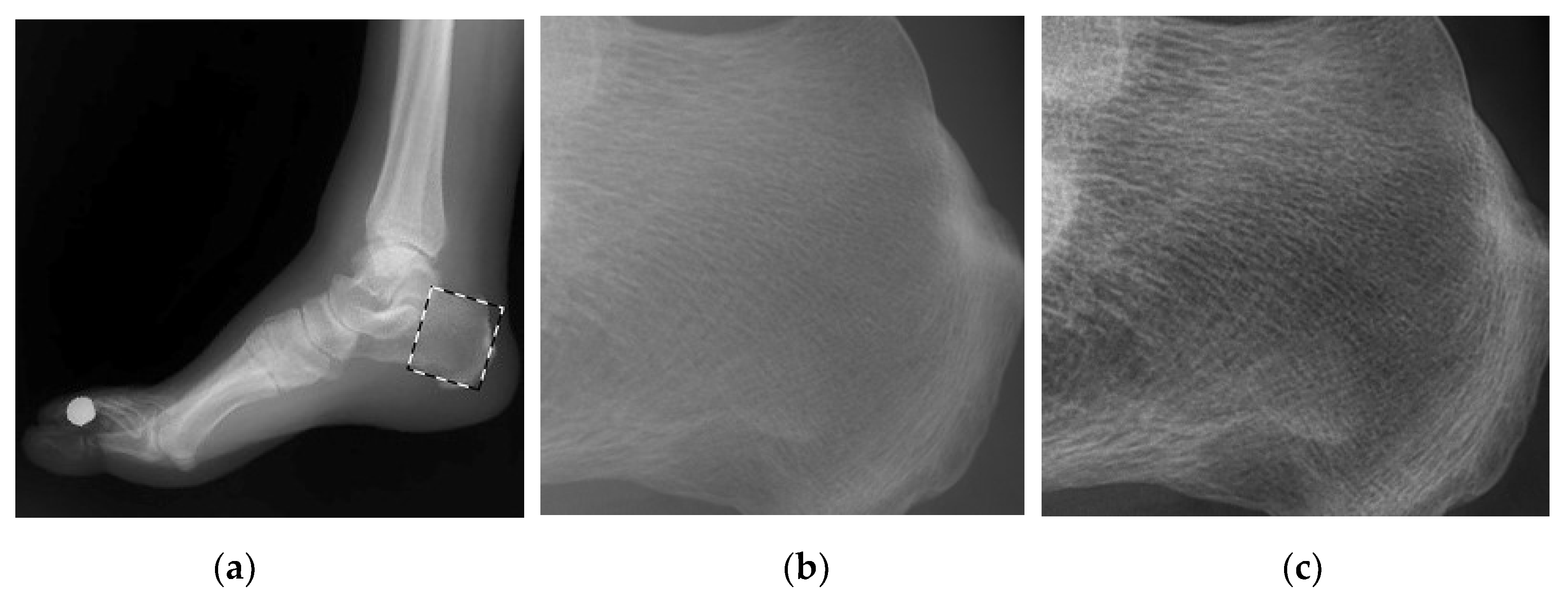 Entropy 24 01754 g004 Entropy 24 01754 g004