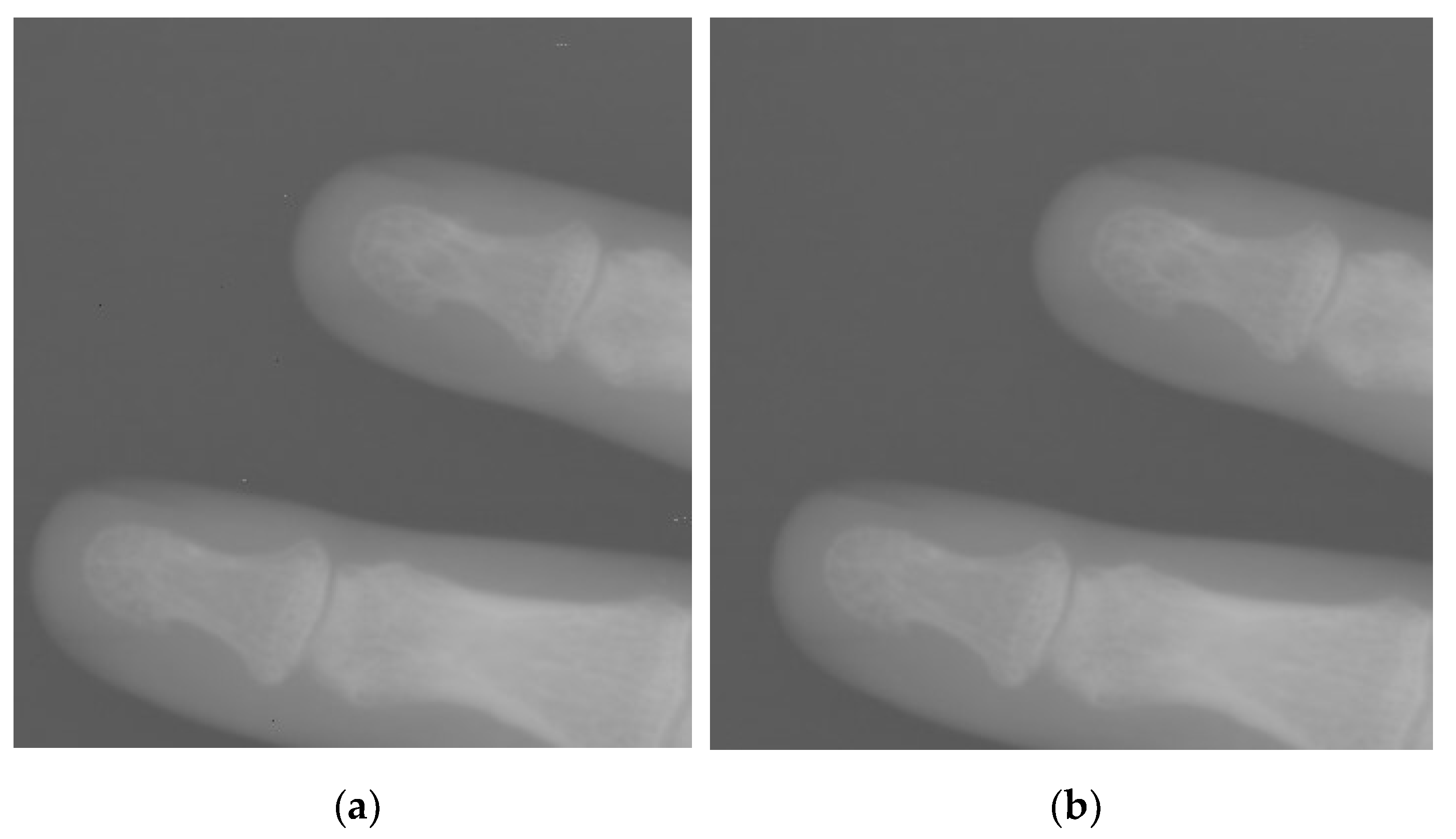 Entropy 24 01754 g012 Entropy 24 01754 g012