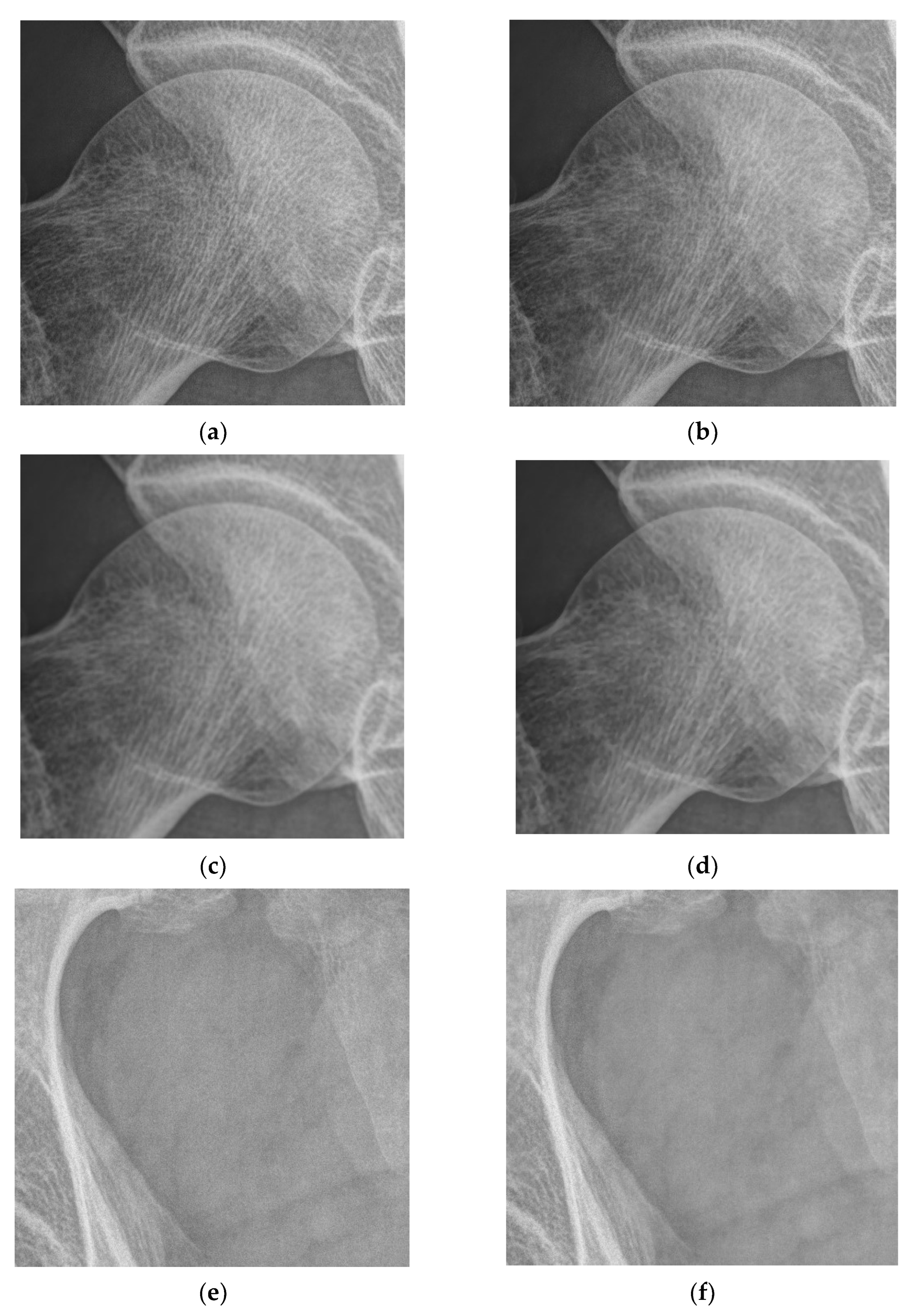 Entropy 24 01754 g015a Entropy 24 01754 g015a