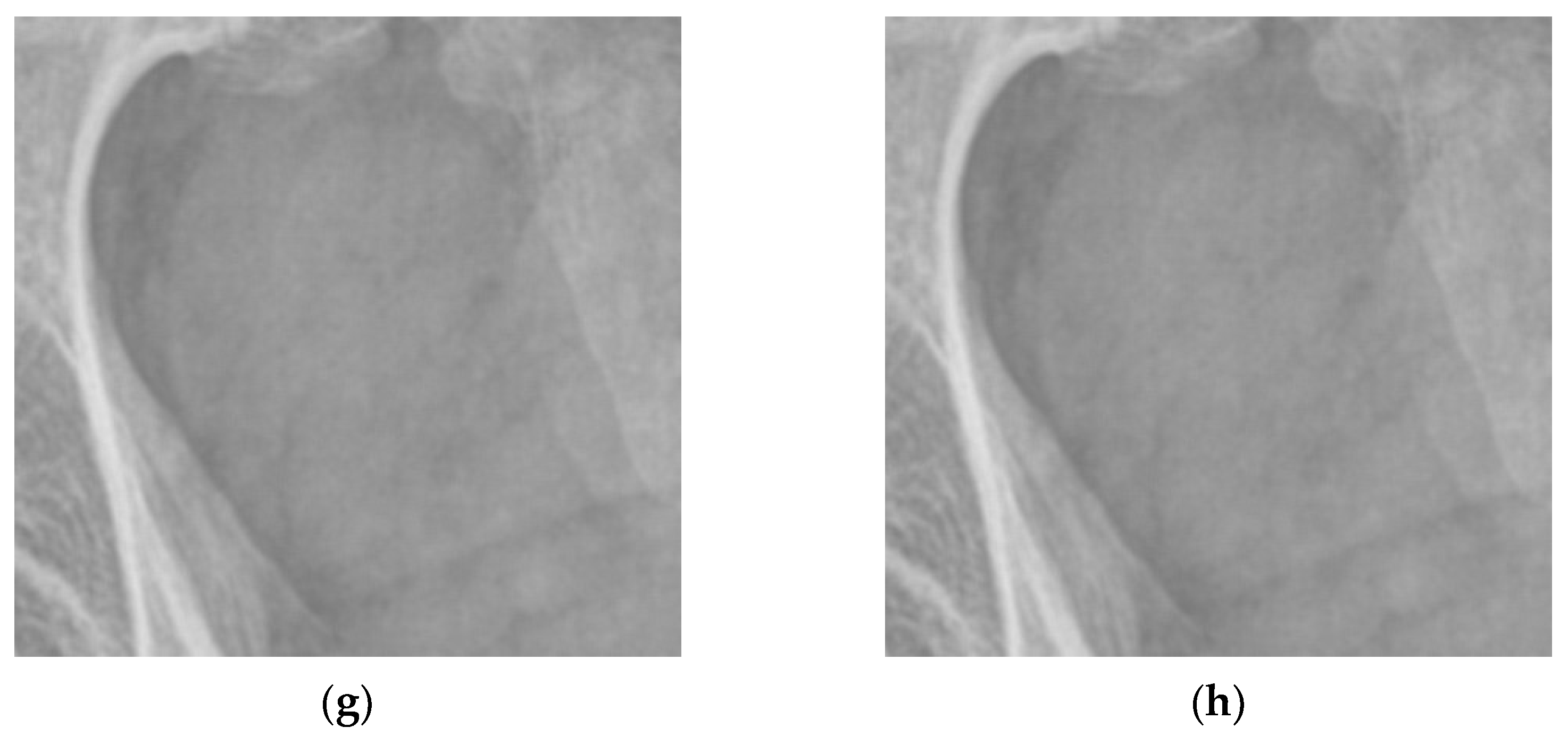 Entropy 24 01754 g015b Entropy 24 01754 g015b