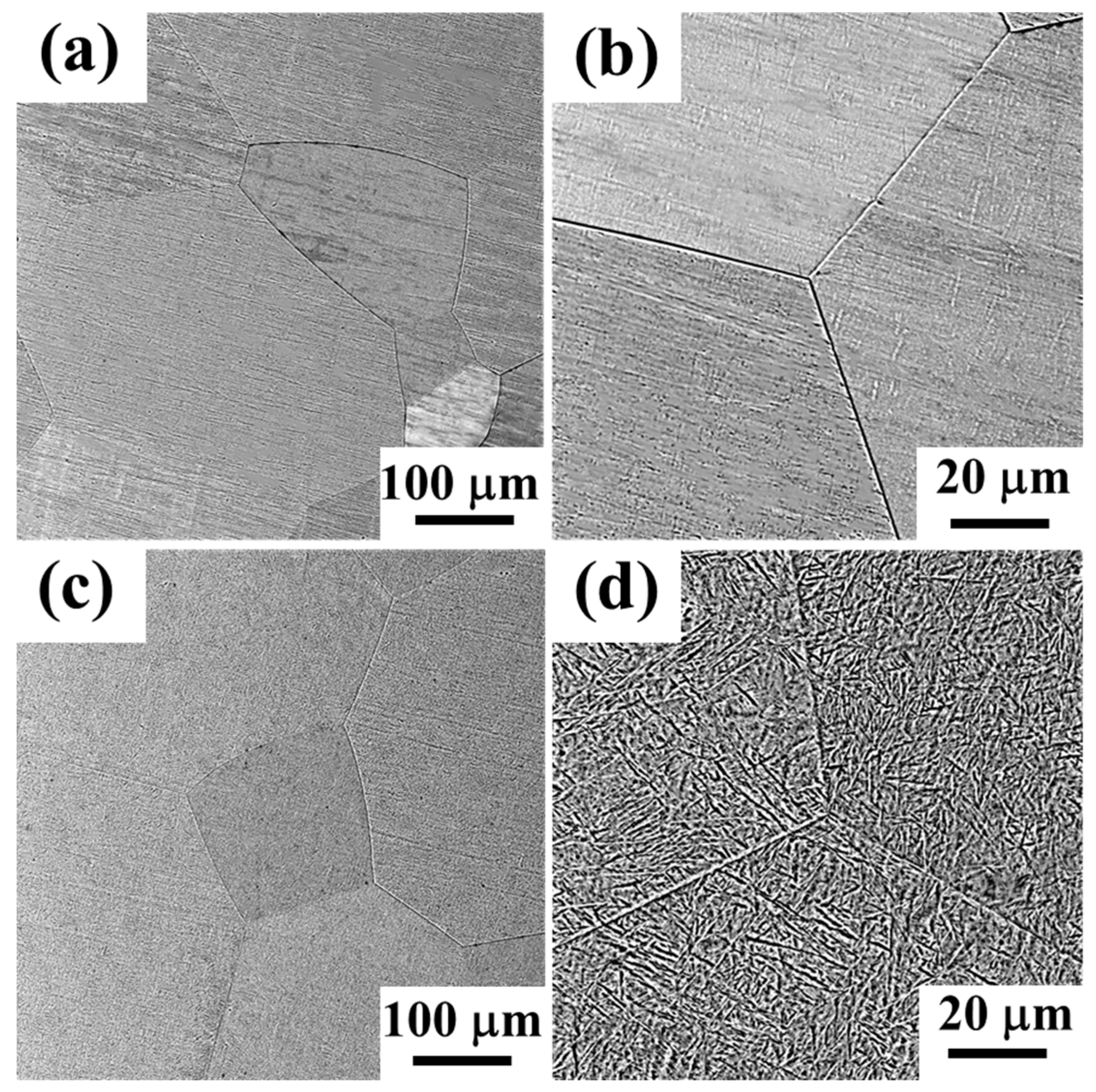 Entropy 24 01777 g002 Entropy 24 01777 g002