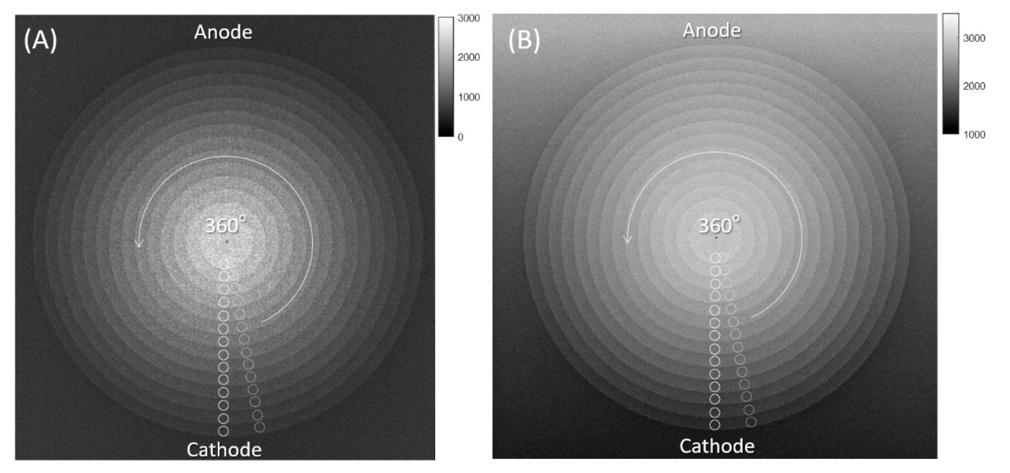 Entropy 24 01781 g002 Entropy 24 01781 g002