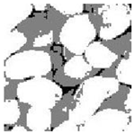 Entropy 24 01788 i008