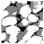 Entropy 24 01788 i009