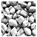 Entropy 24 01788 i023