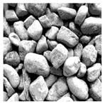 Entropy 24 01788 i028