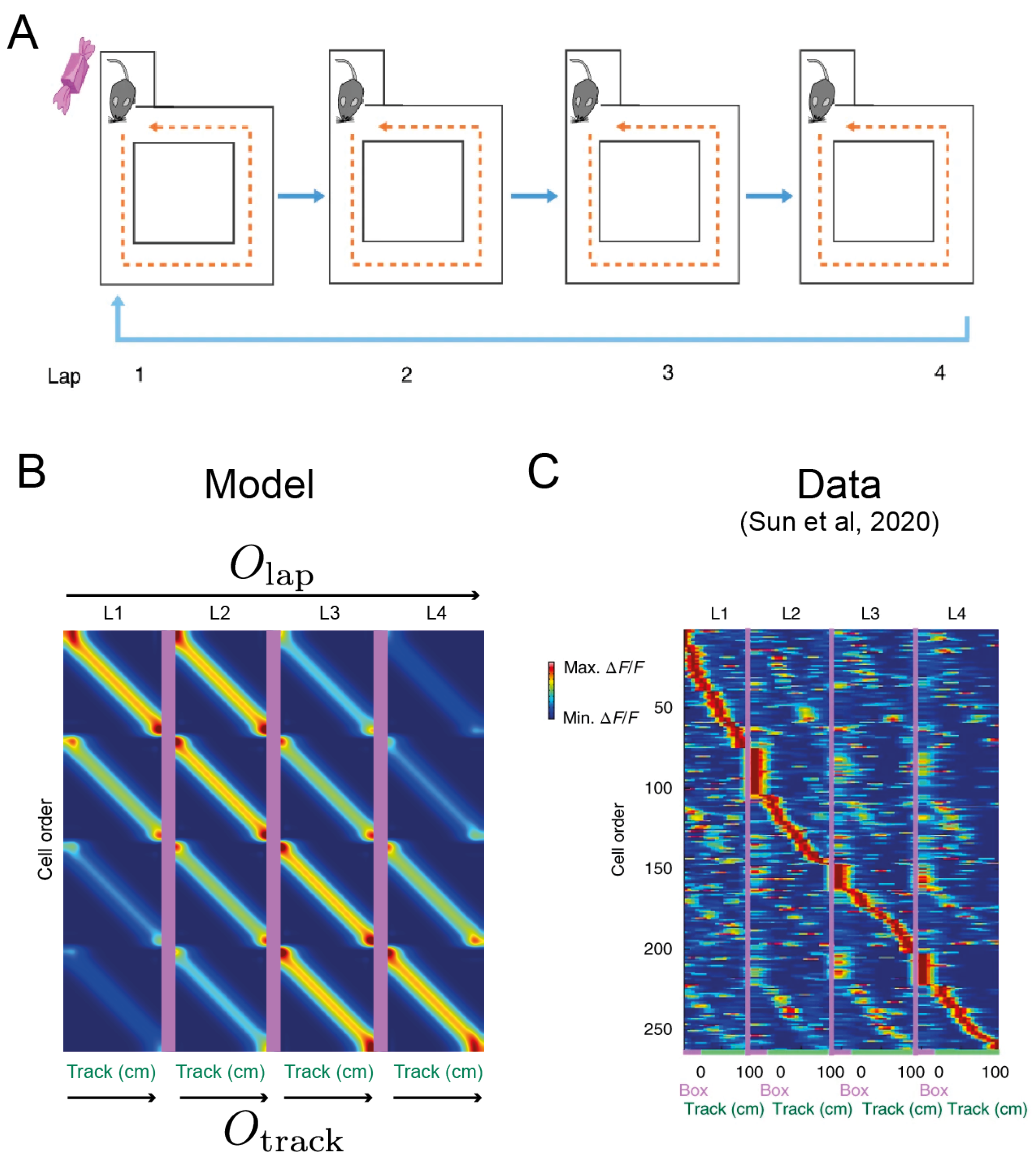 Entropy 24 01791 g004 Entropy 24 01791 g004