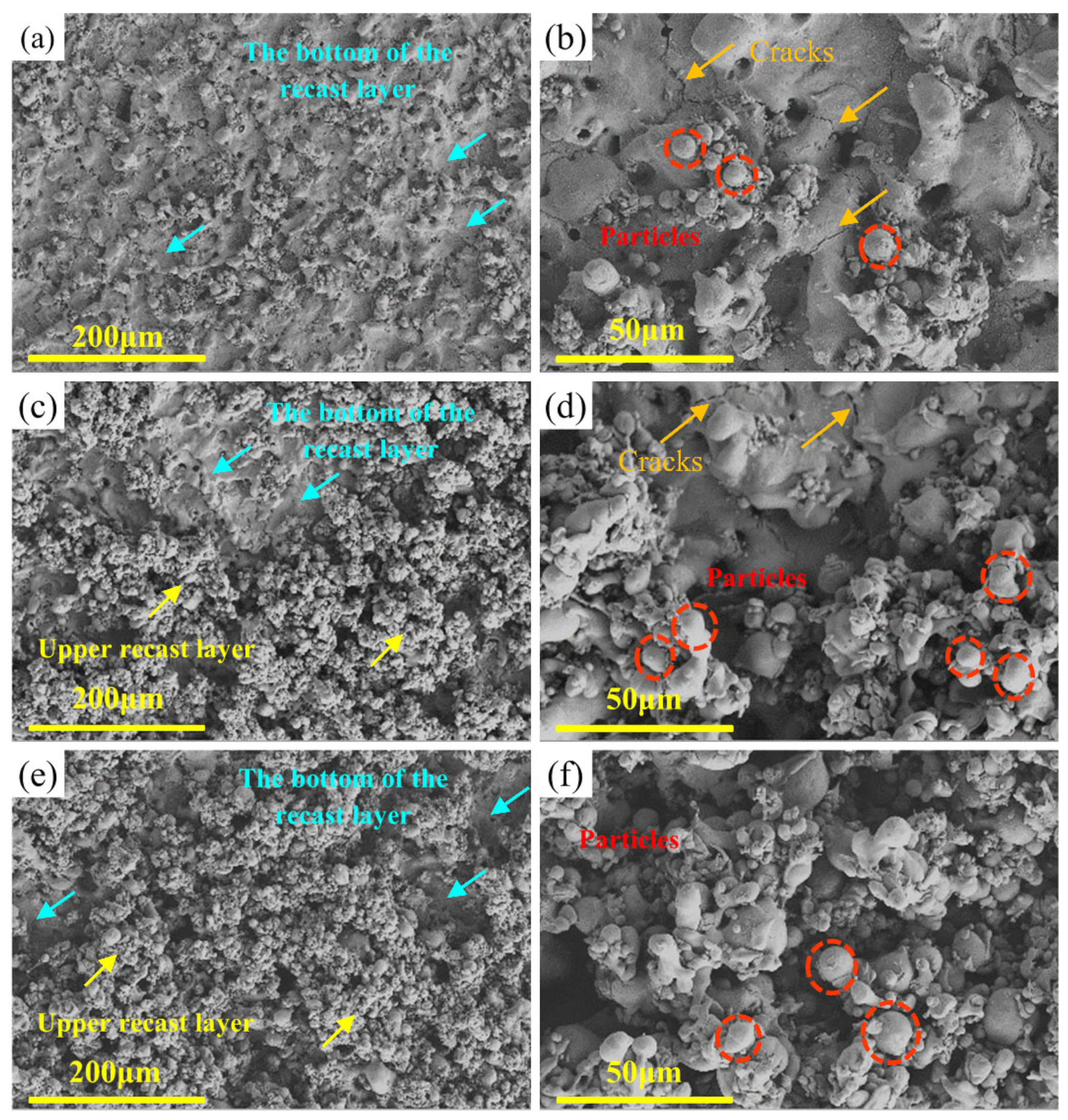 Entropy 24 01796 g004 Entropy 24 01796 g004