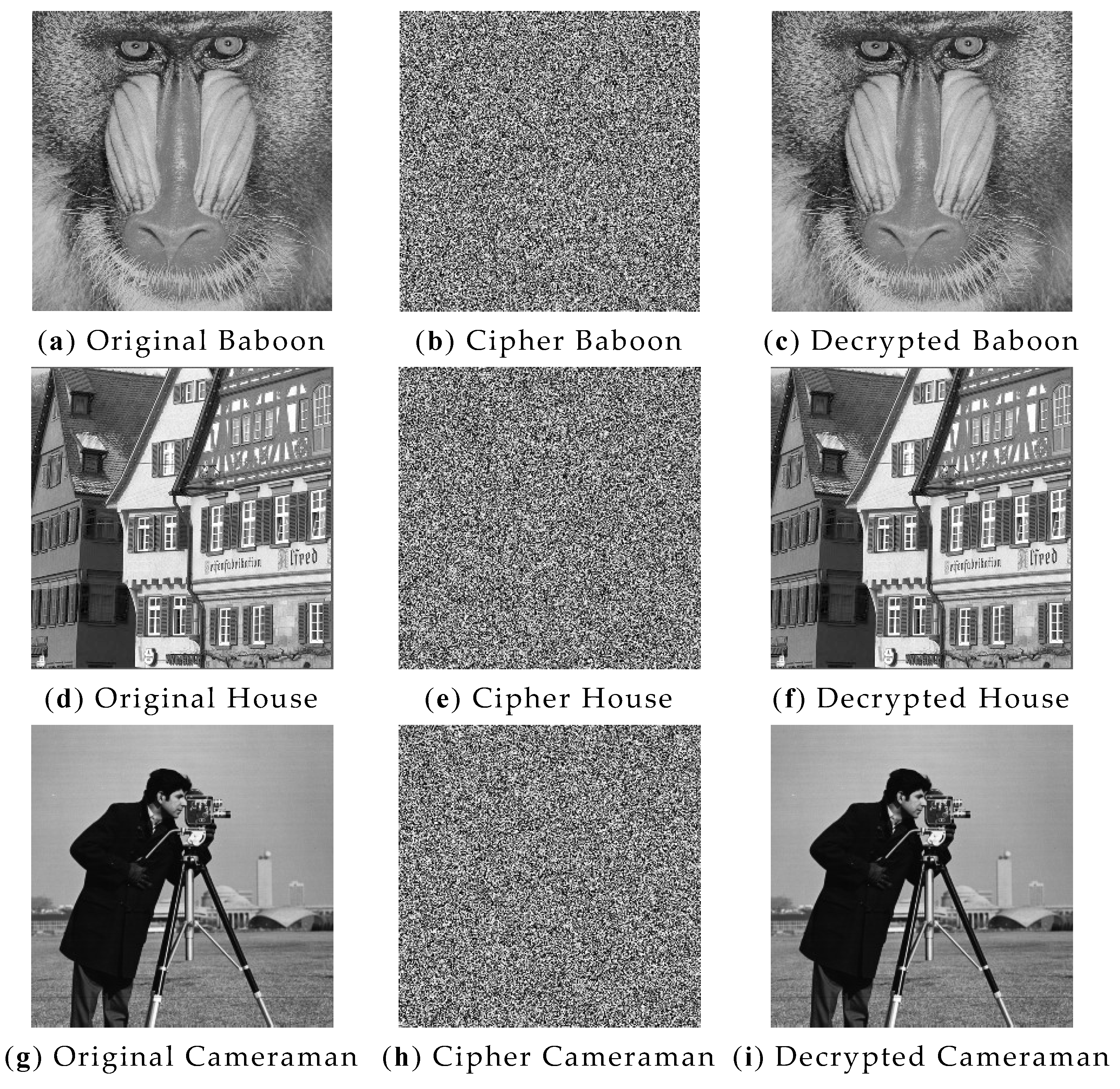 Entropy 24 01827 g014a