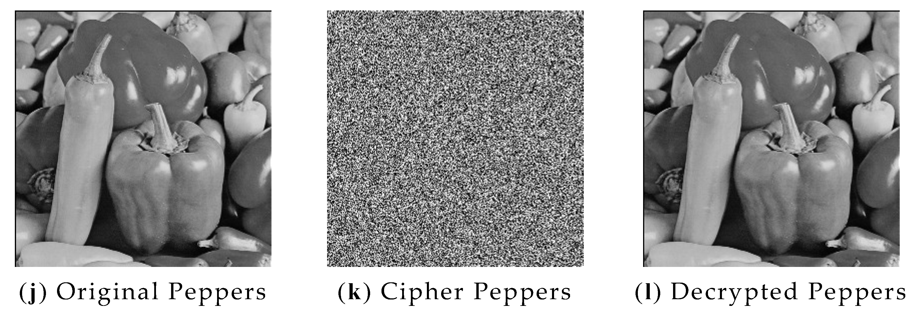 Entropy 24 01827 g014b