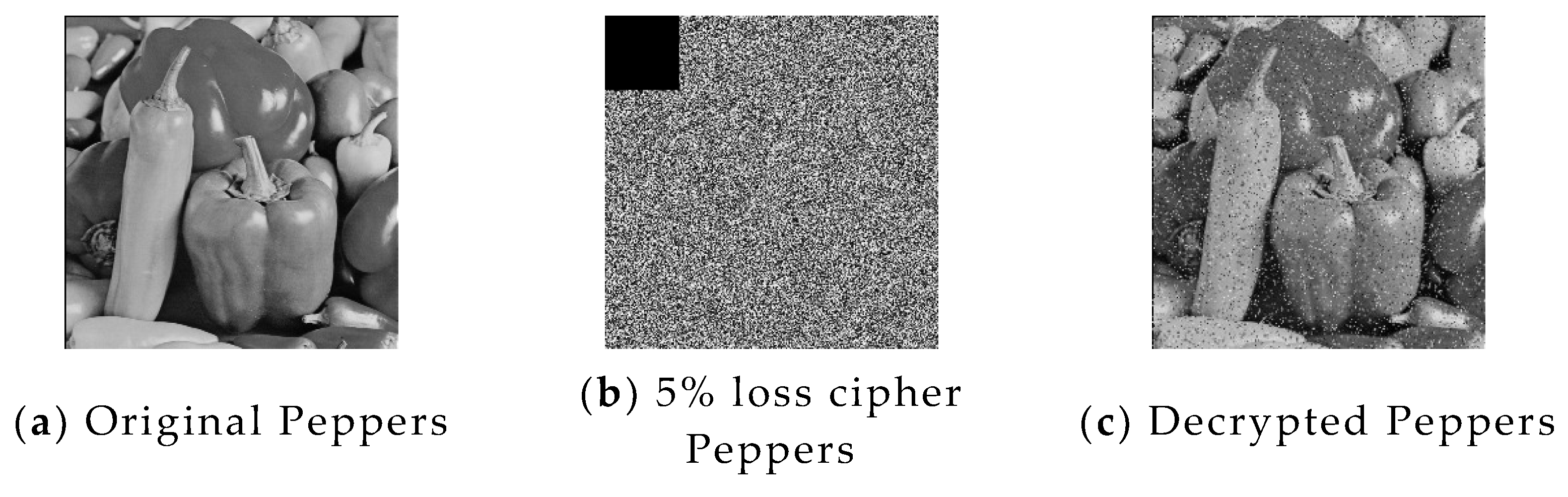 Entropy 24 01827 g018