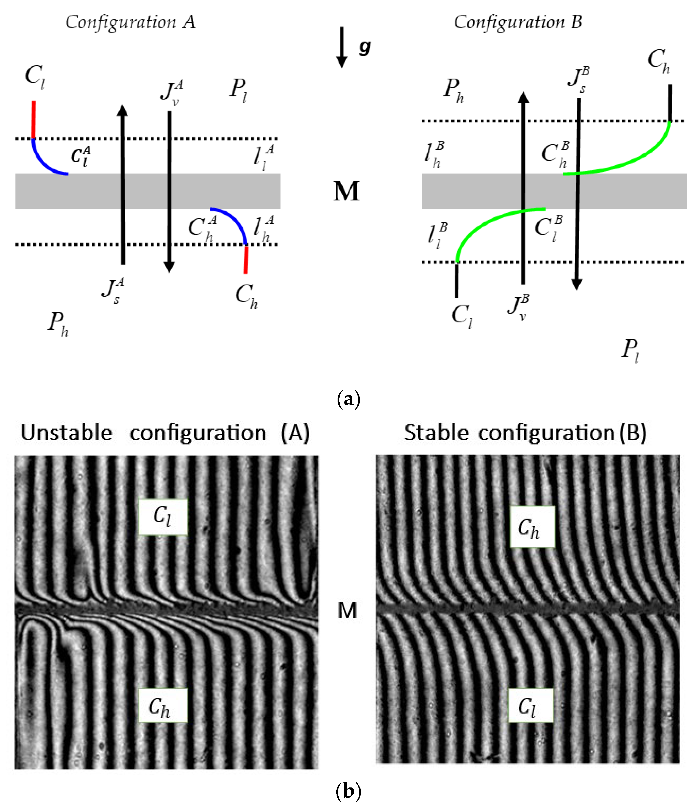 Entropy 25 00003 g001 Entropy 25 00003 g001
