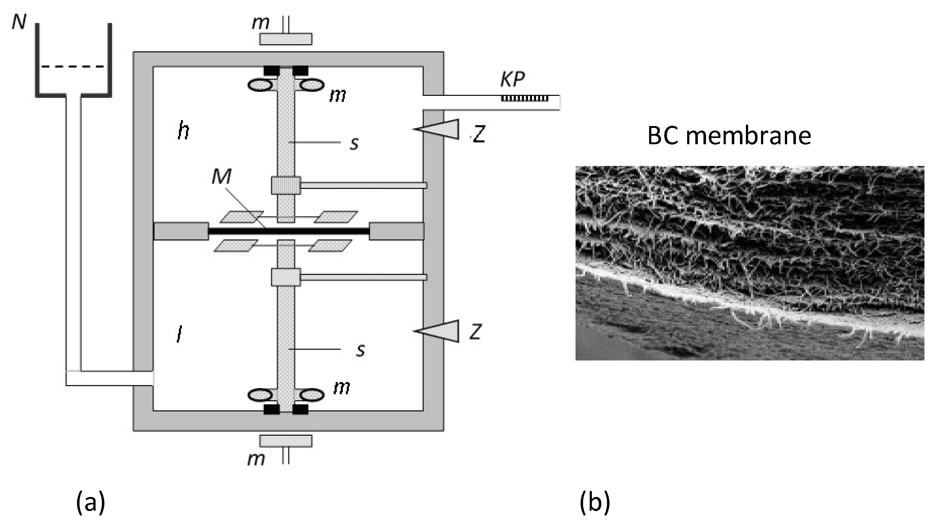 Entropy 25 00003 g002 Entropy 25 00003 g002