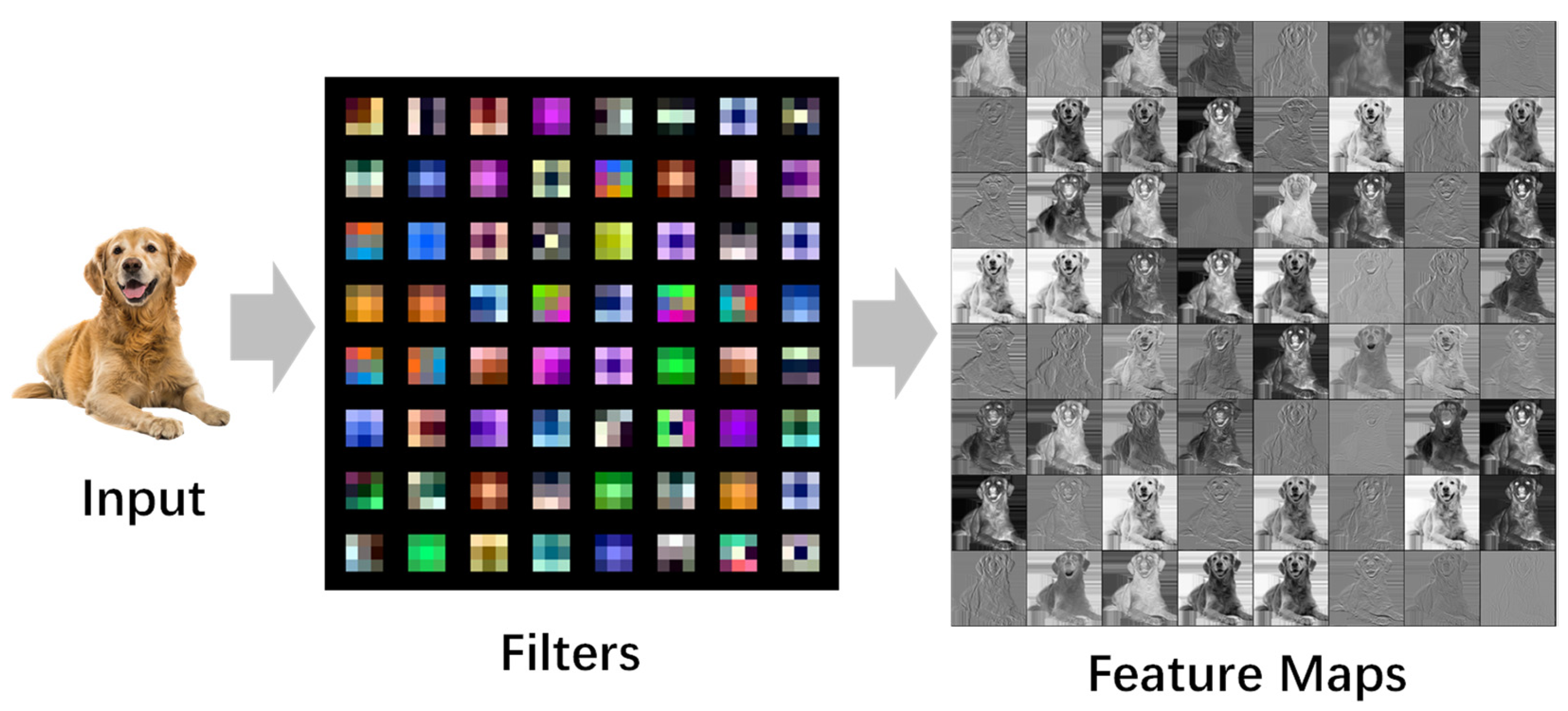 Entropy 25 00009 g002 550