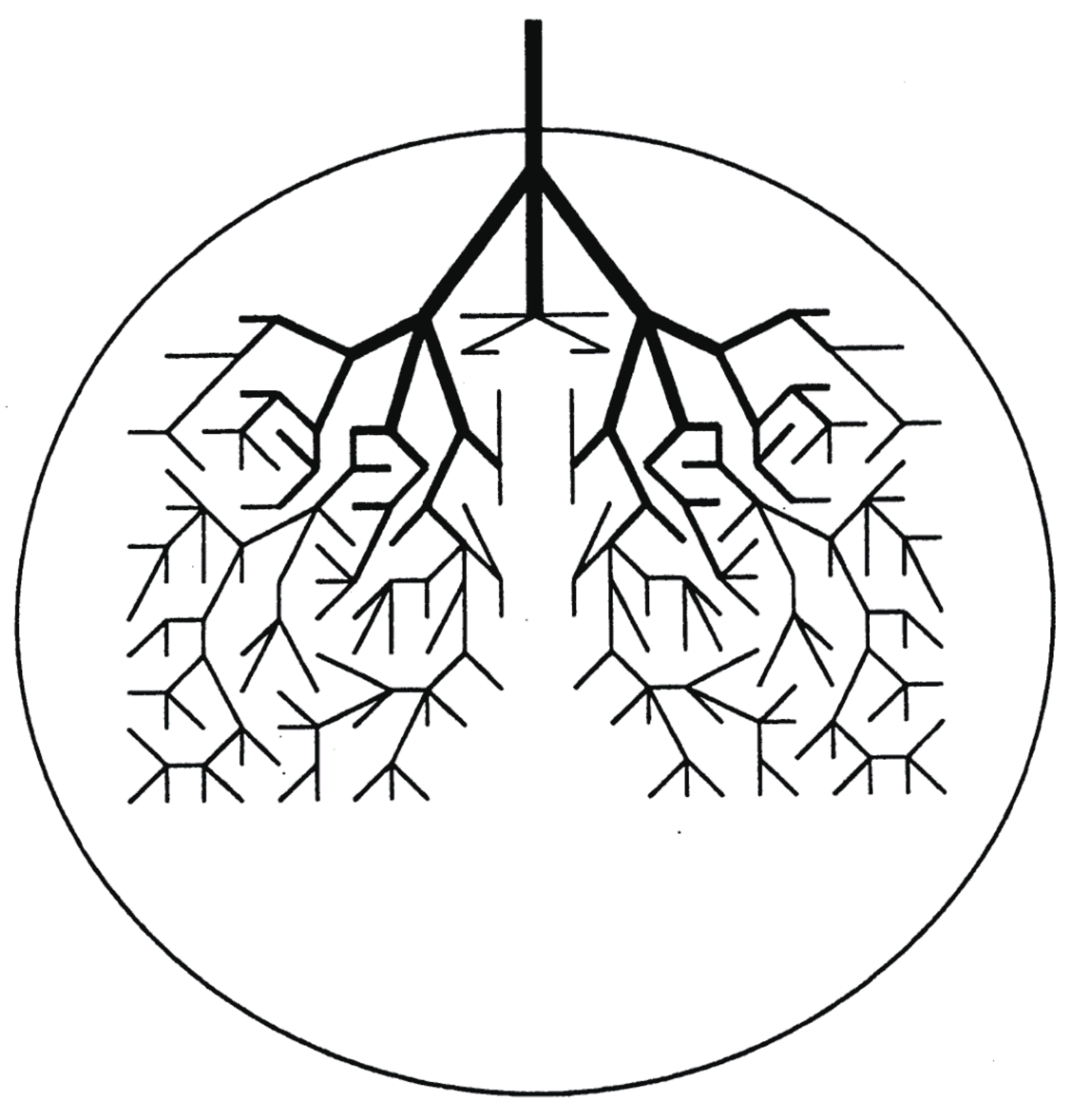 Entropy 25 00063 g003