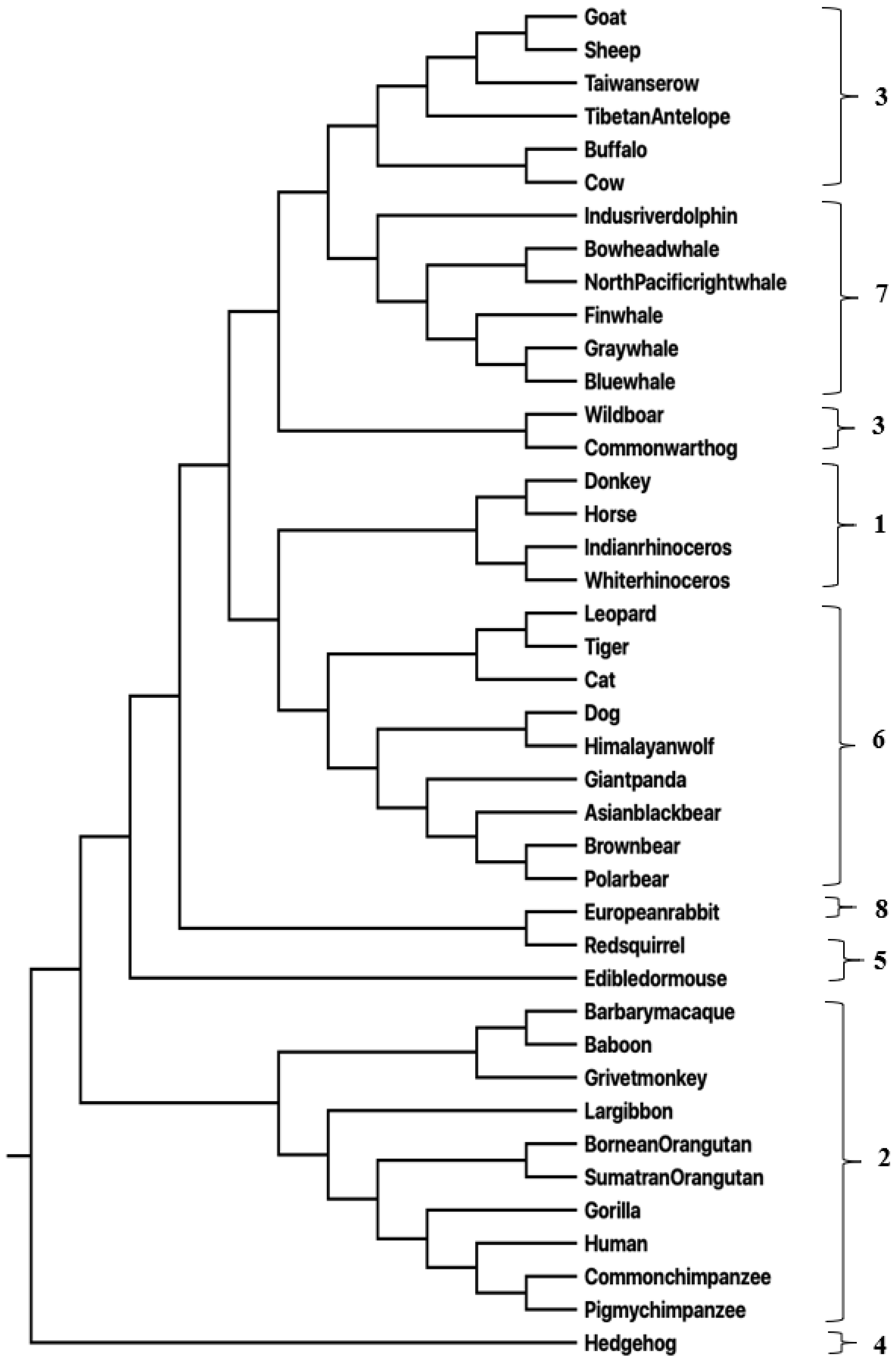 Entropy 25 00081 g001
