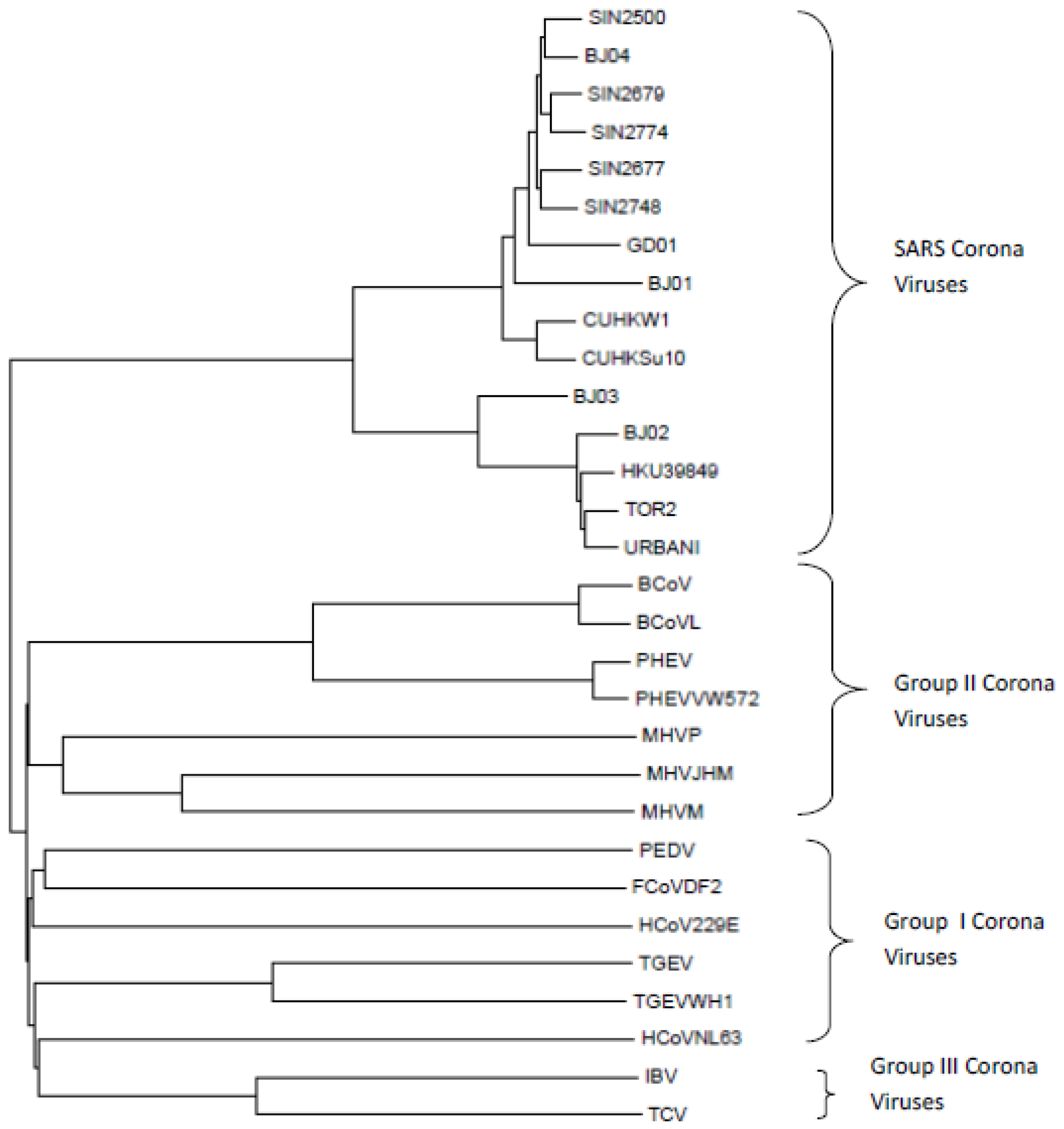 Entropy 25 00081 g002