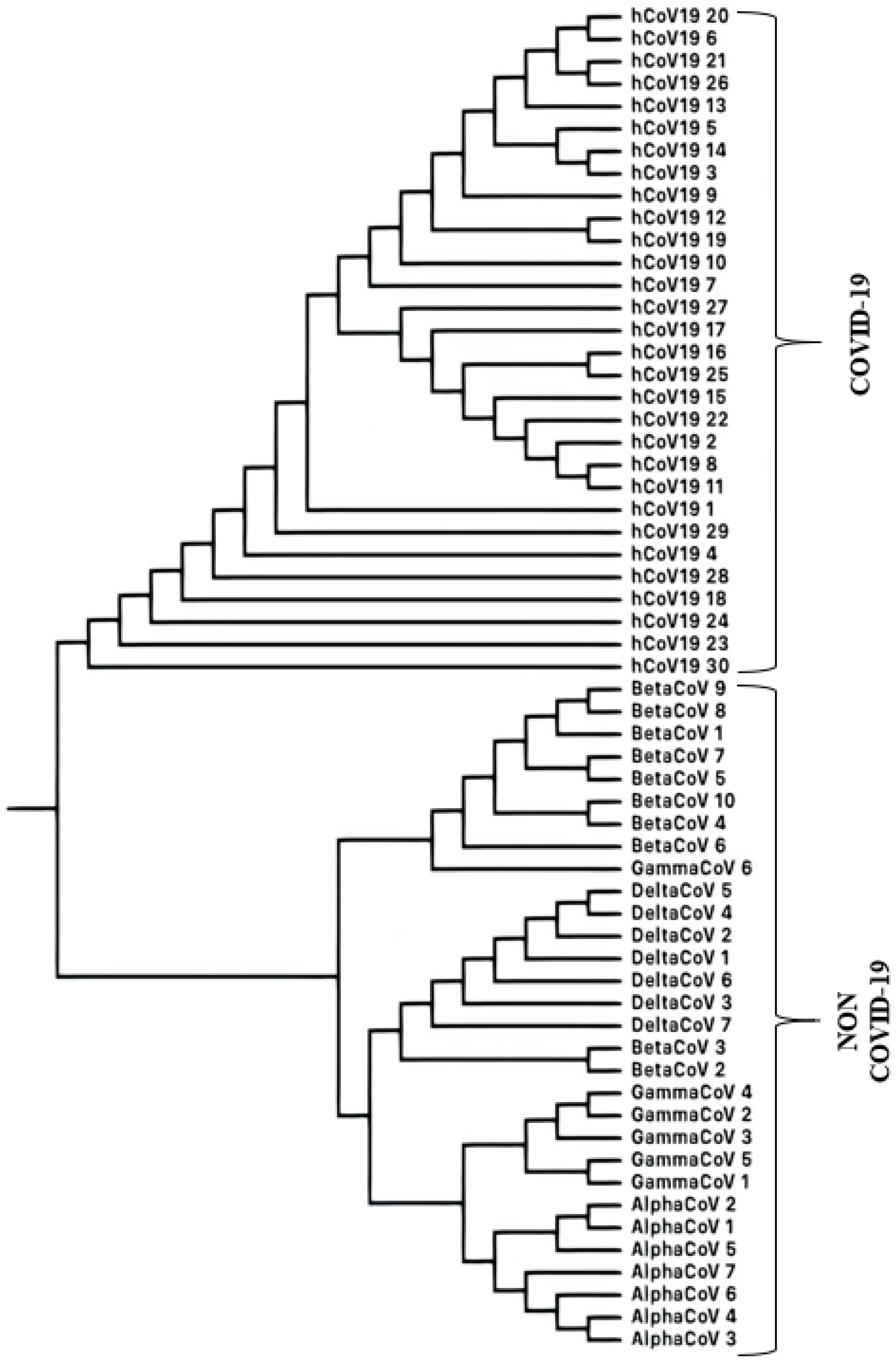 Entropy 25 00081 g003