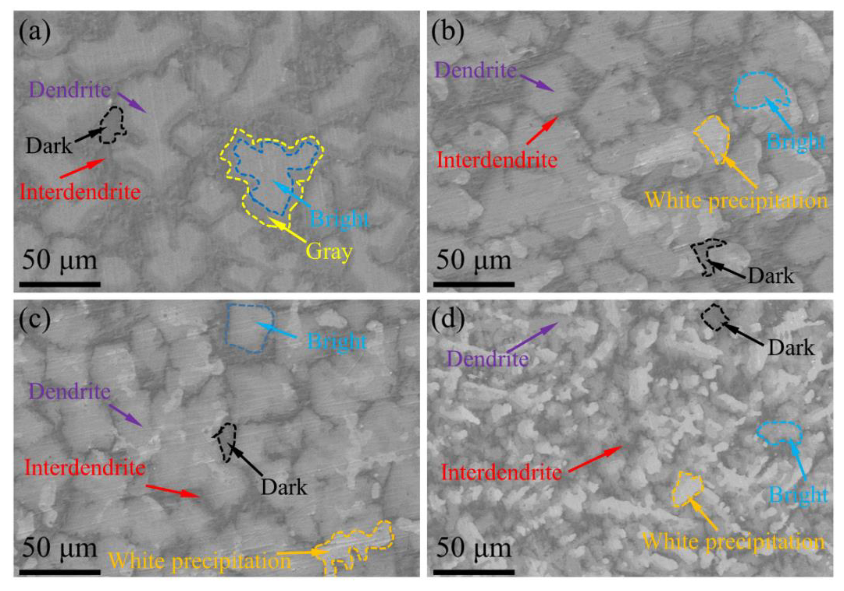 Entropy 25 00100 g002 Entropy 25 00100 g002