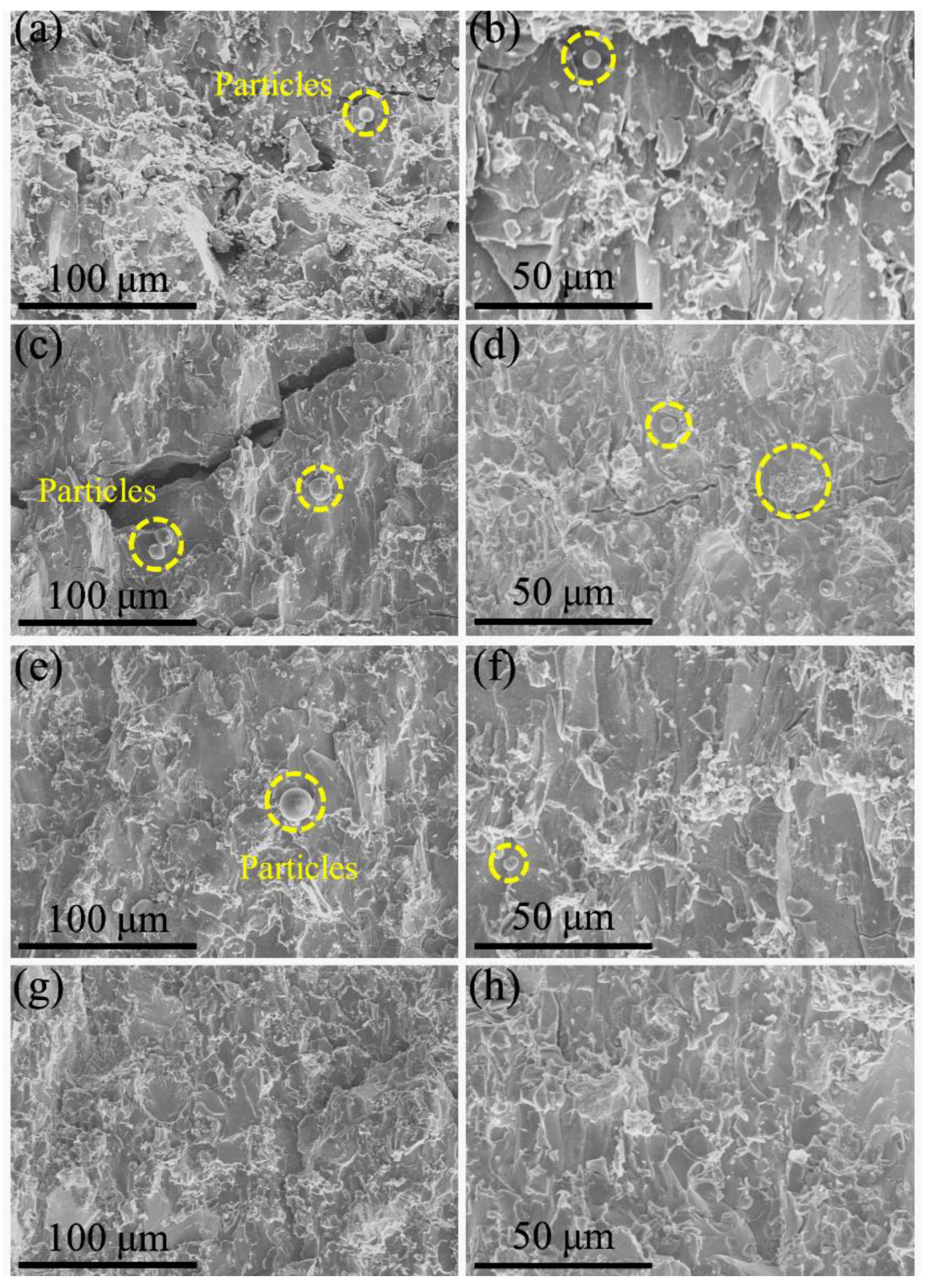 Entropy 25 00100 g006 Entropy 25 00100 g006