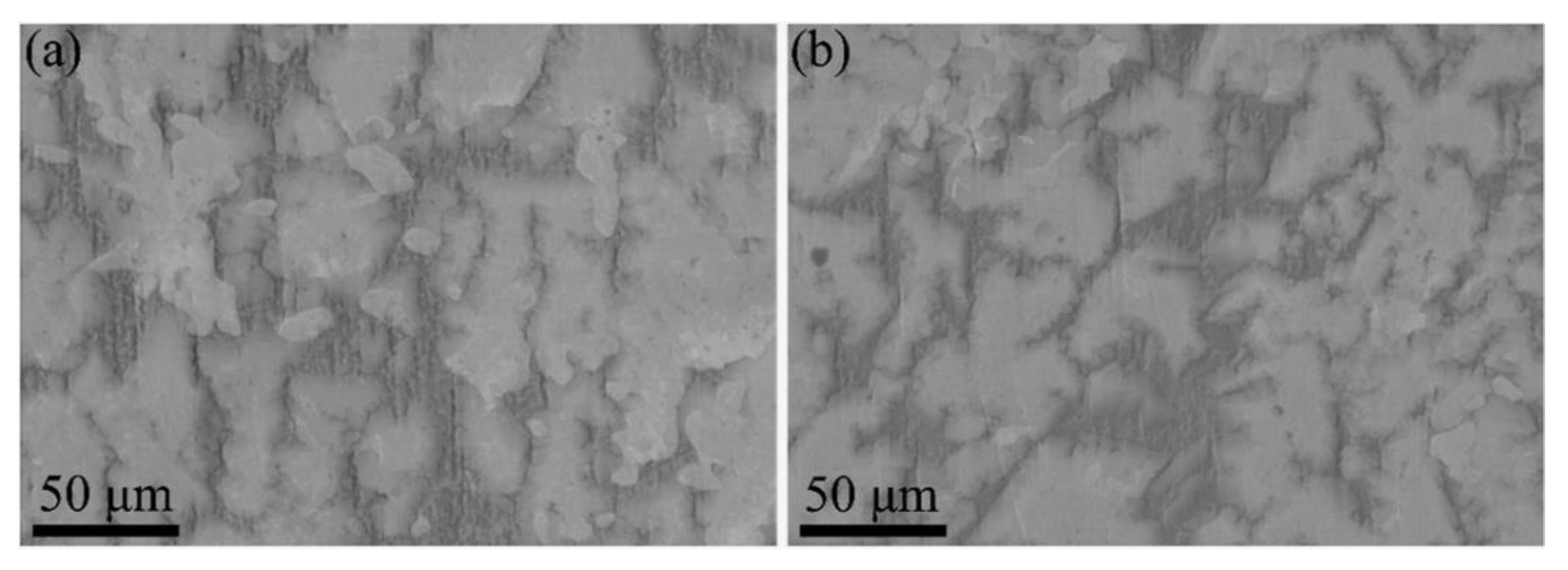 Entropy 25 00100 g007 Entropy 25 00100 g007