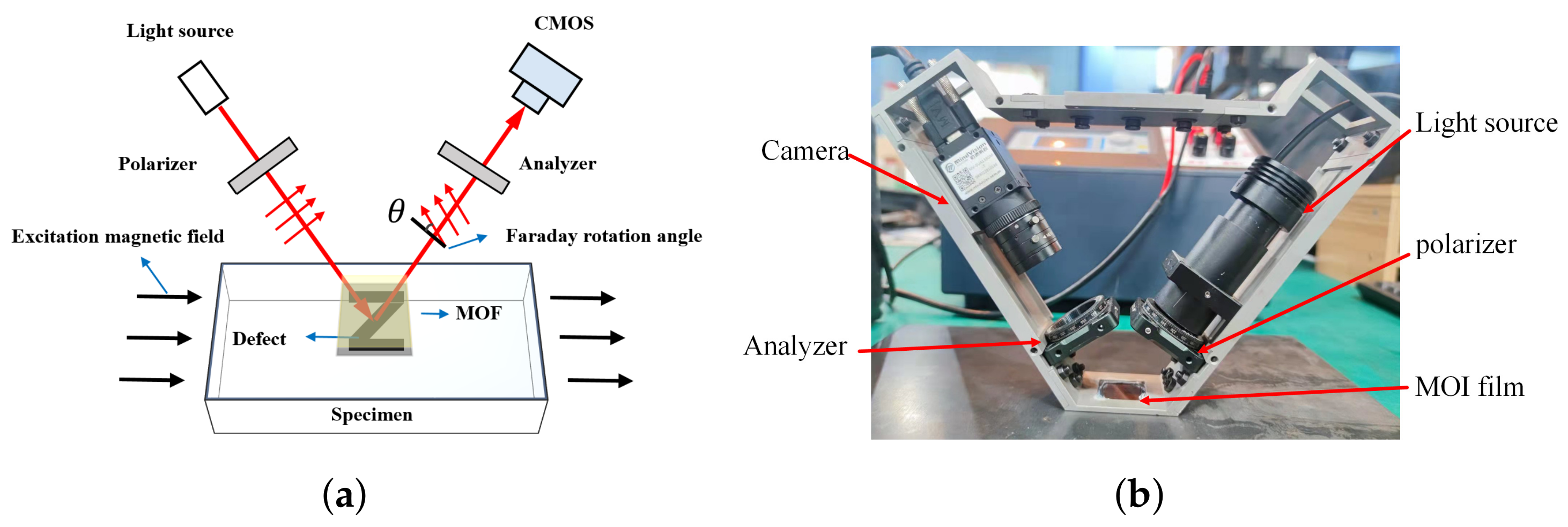 Entropy 25 00167 g003