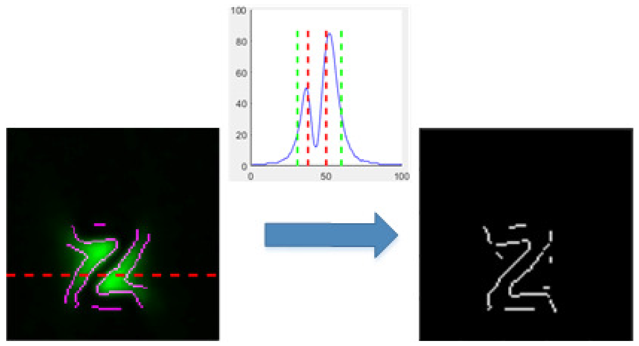 Entropy 25 00167 g008