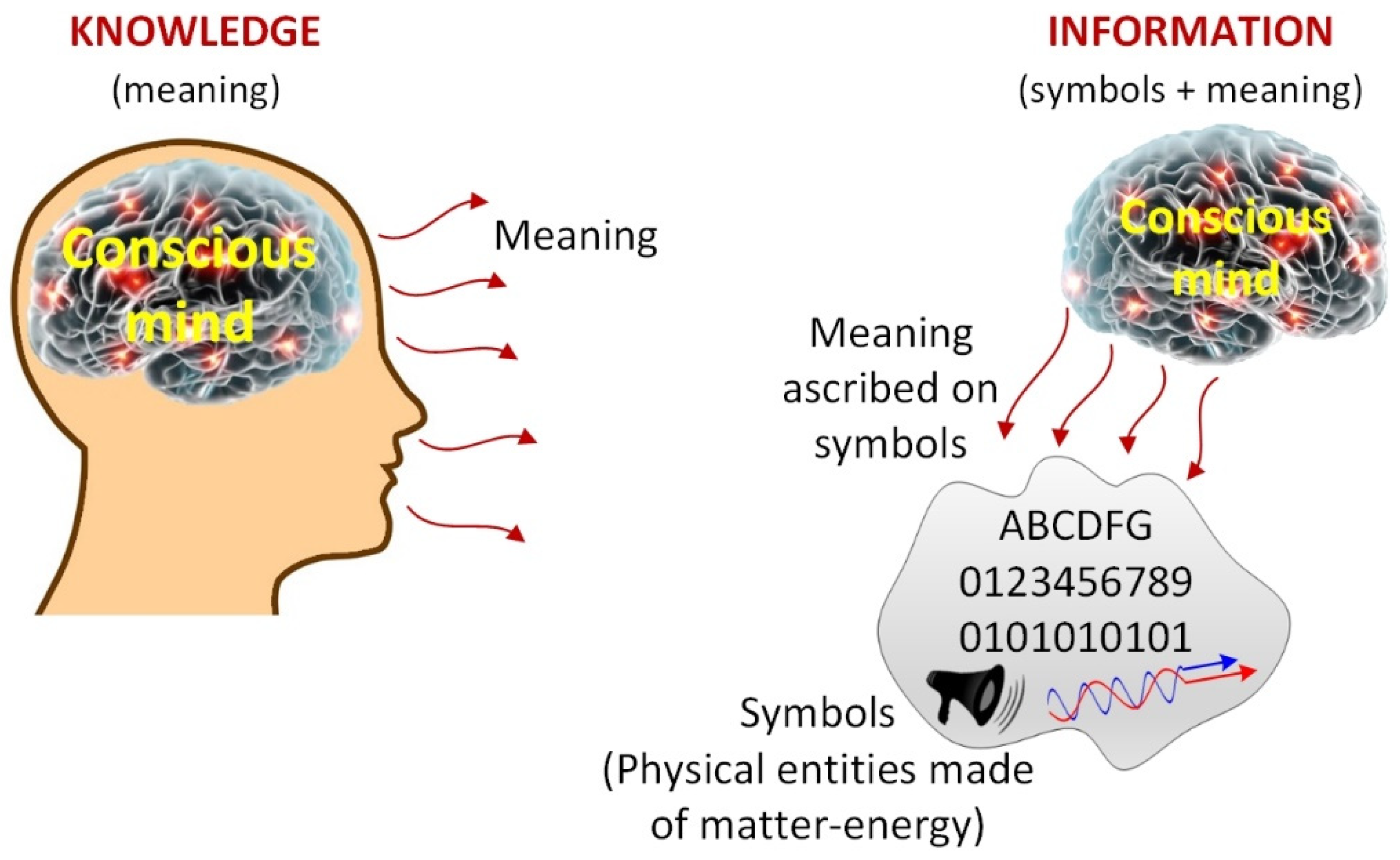 Writing the Mind: Social Cognition in Nineteenth-Century Ame