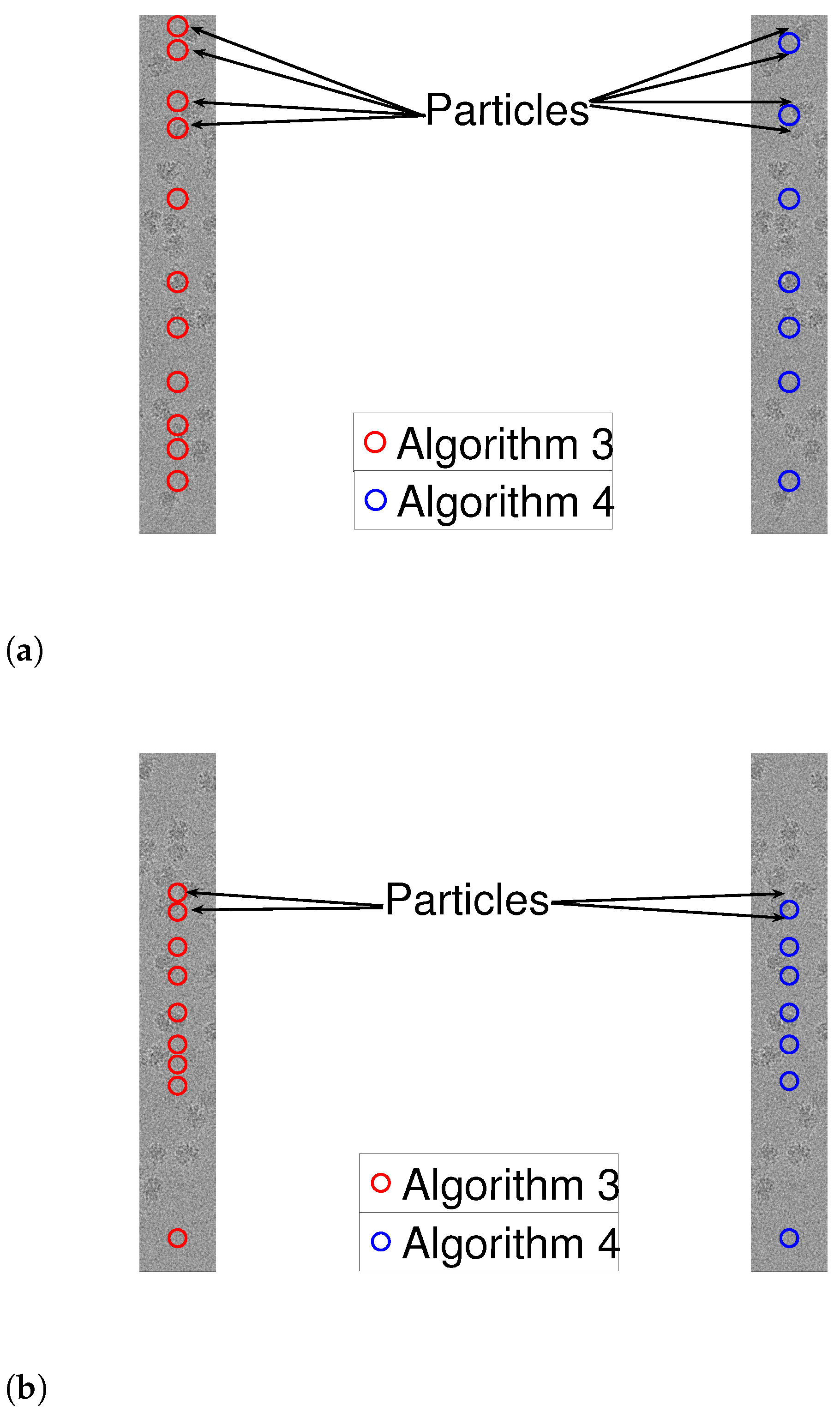 Entropy 25 00250 g011