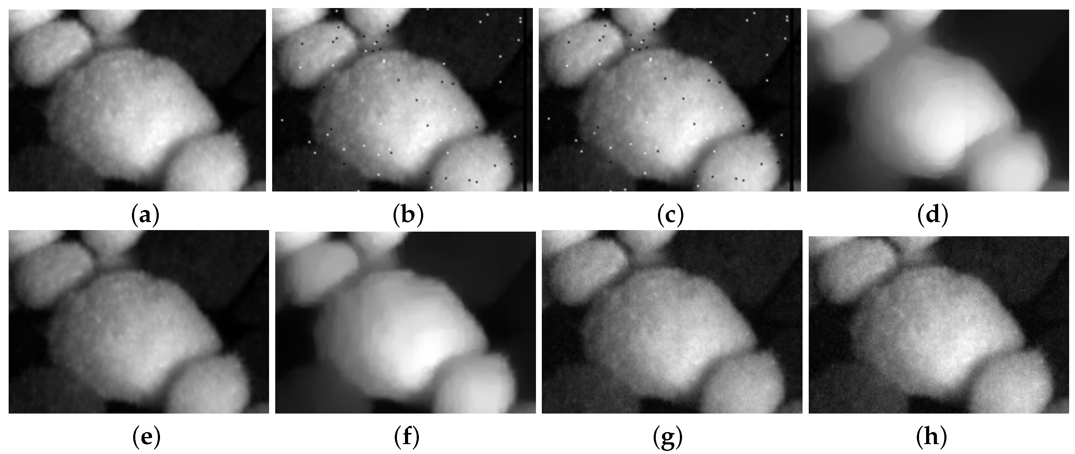 Entropy 25 00260 g009