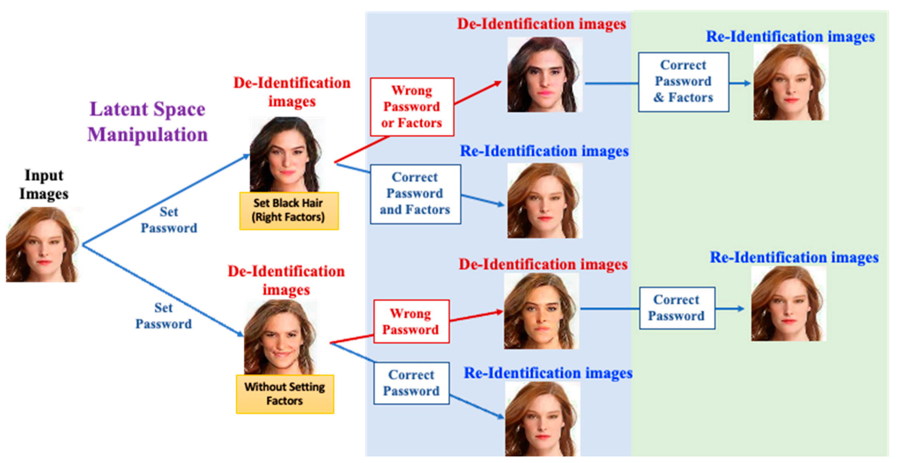 Entropy 25 00272 g001 550