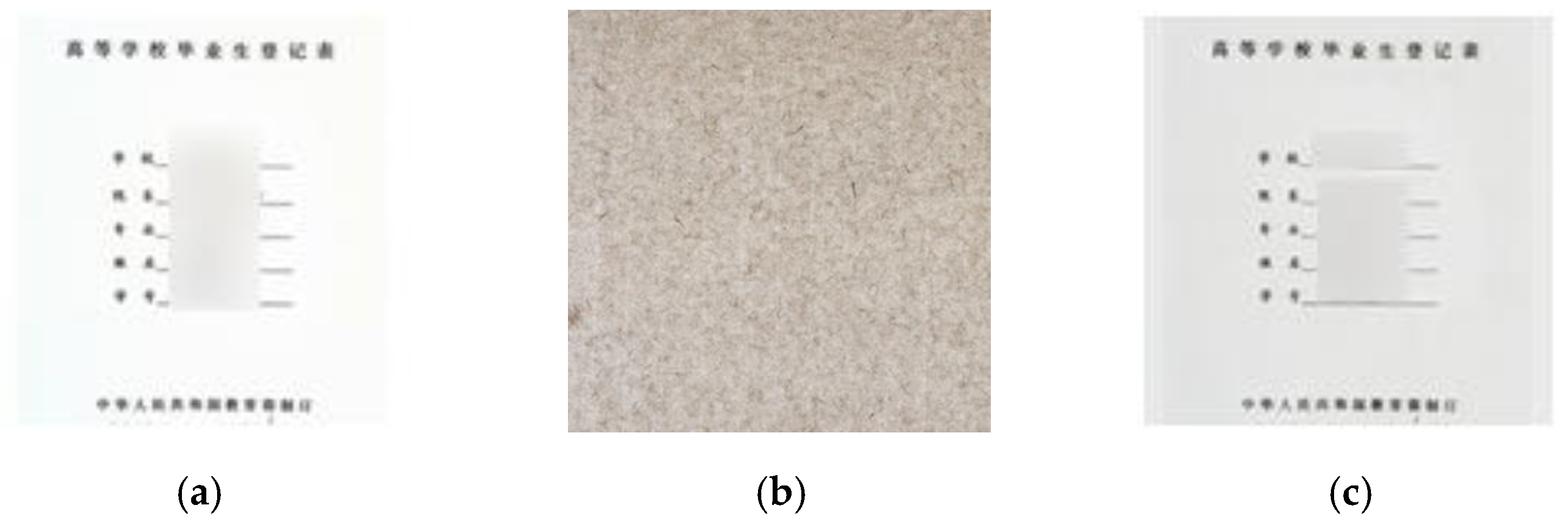 Entropy 25 00288 g009a 550