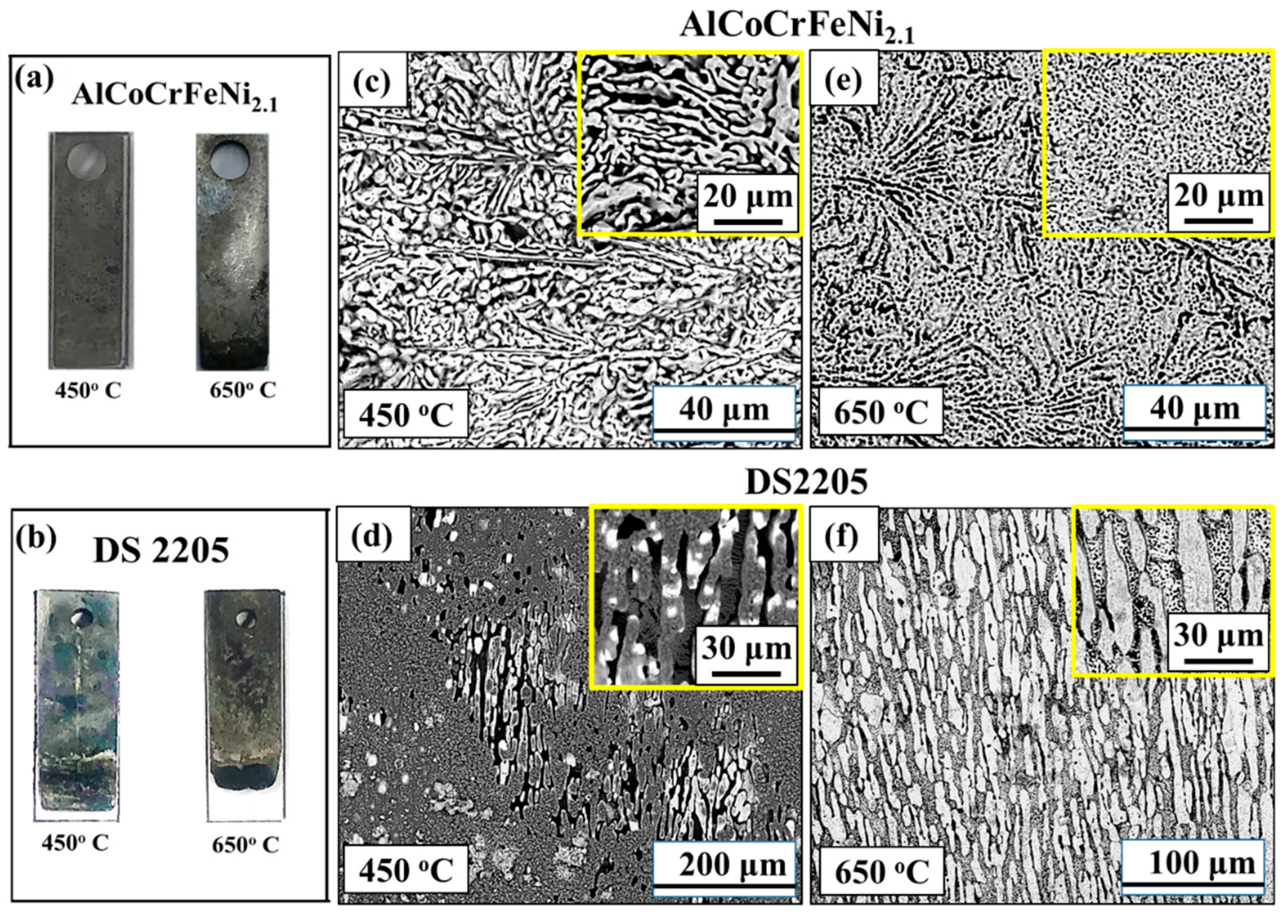 Entropy 25 00296 g005 Entropy 25 00296 g005