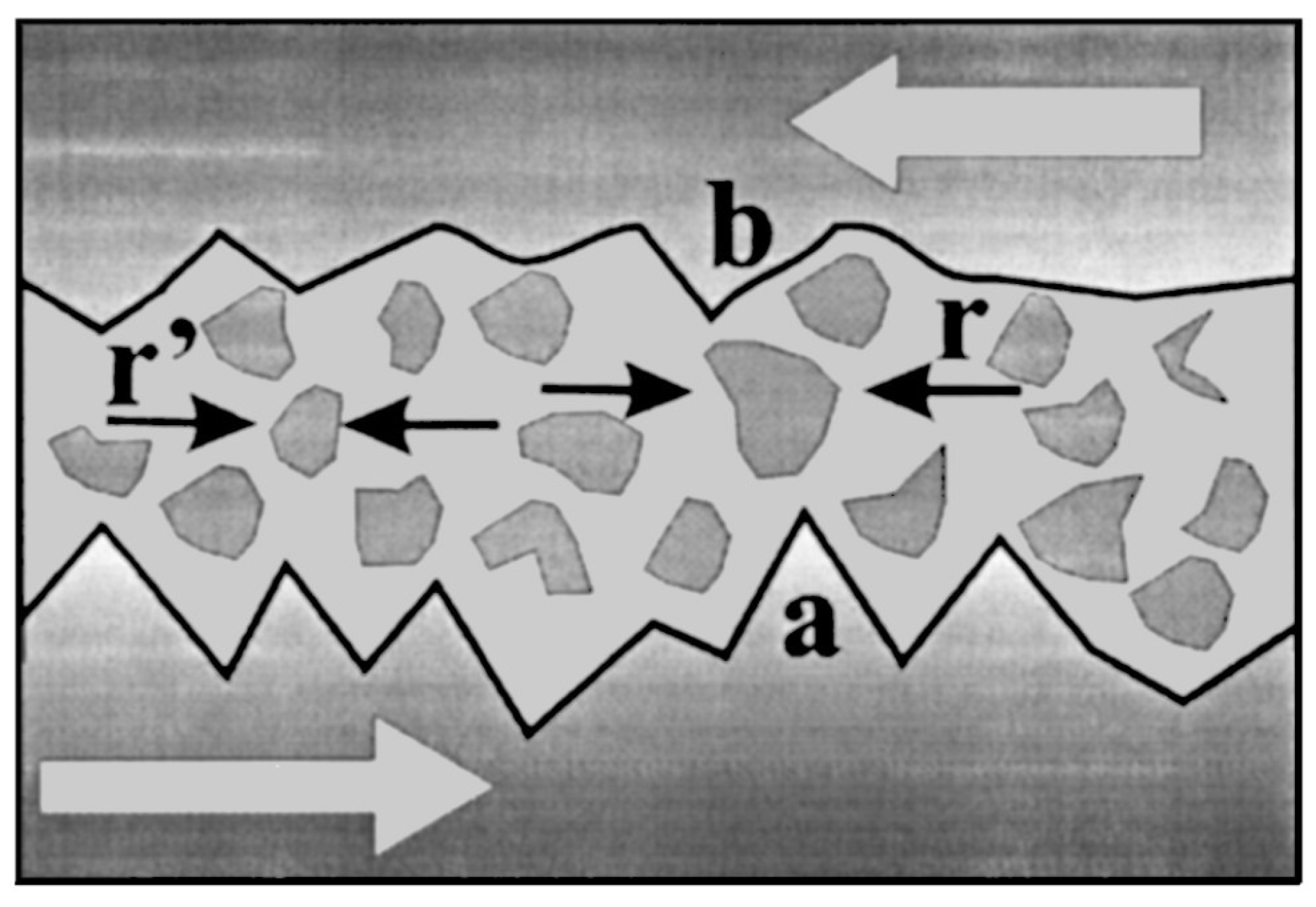 Entropy 25 00408 g001 Entropy 25 00408 g001