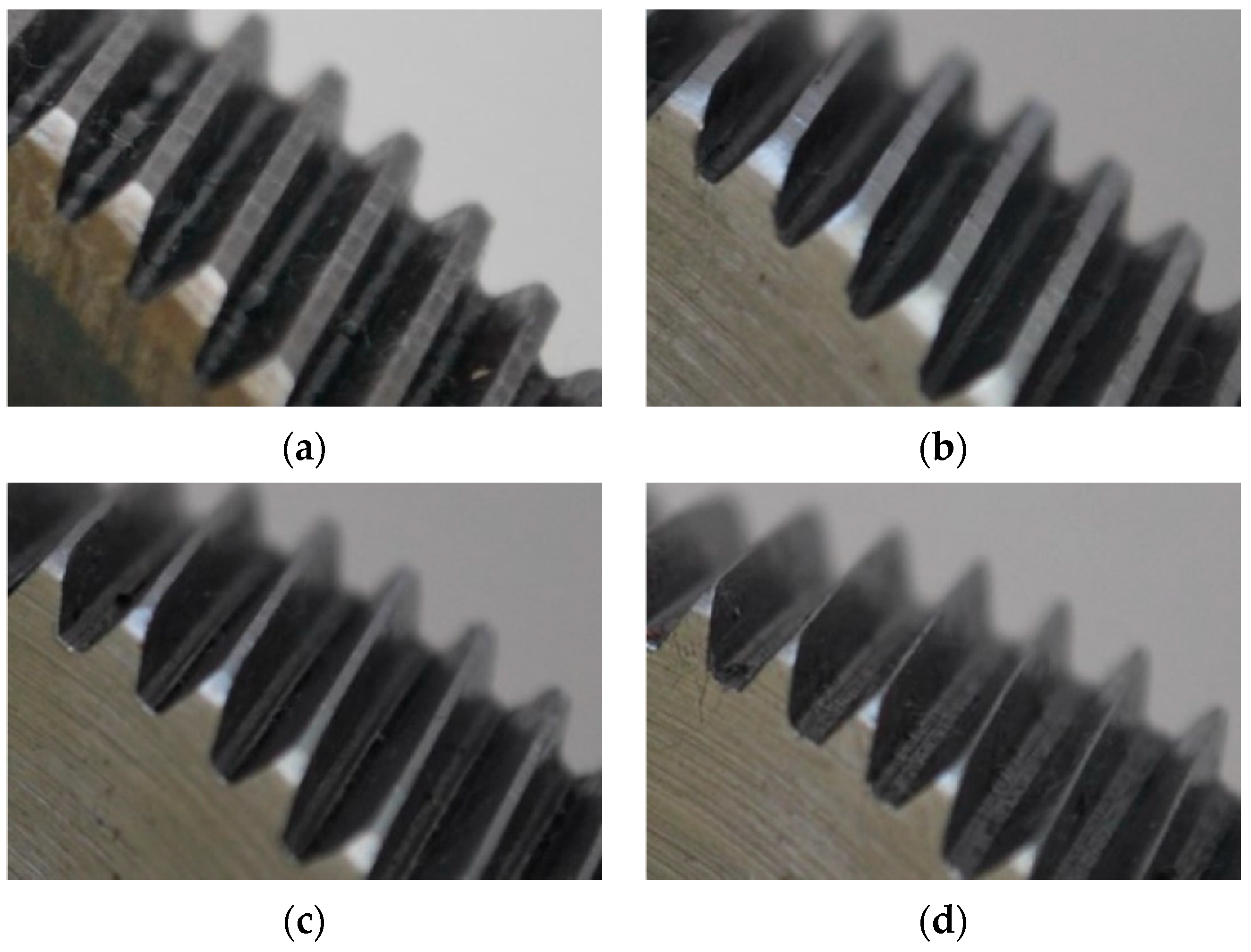 Entropy 25 00424 g004 Entropy 25 00424 g004