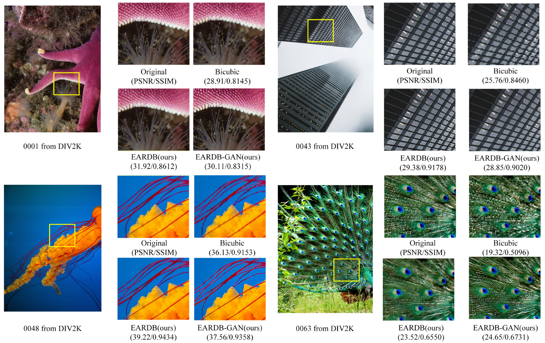 Entropy 25 00440 g006