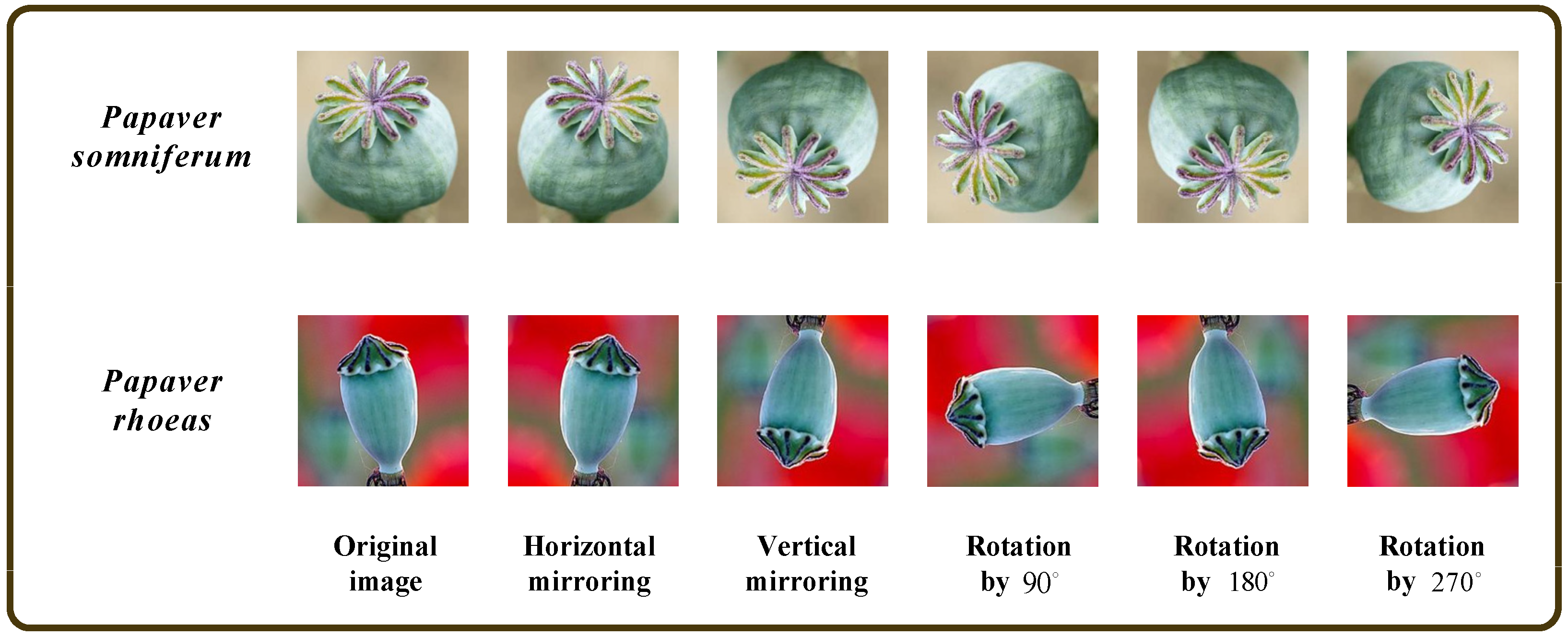 Entropy 25 00447 g002 Entropy 25 00447 g002