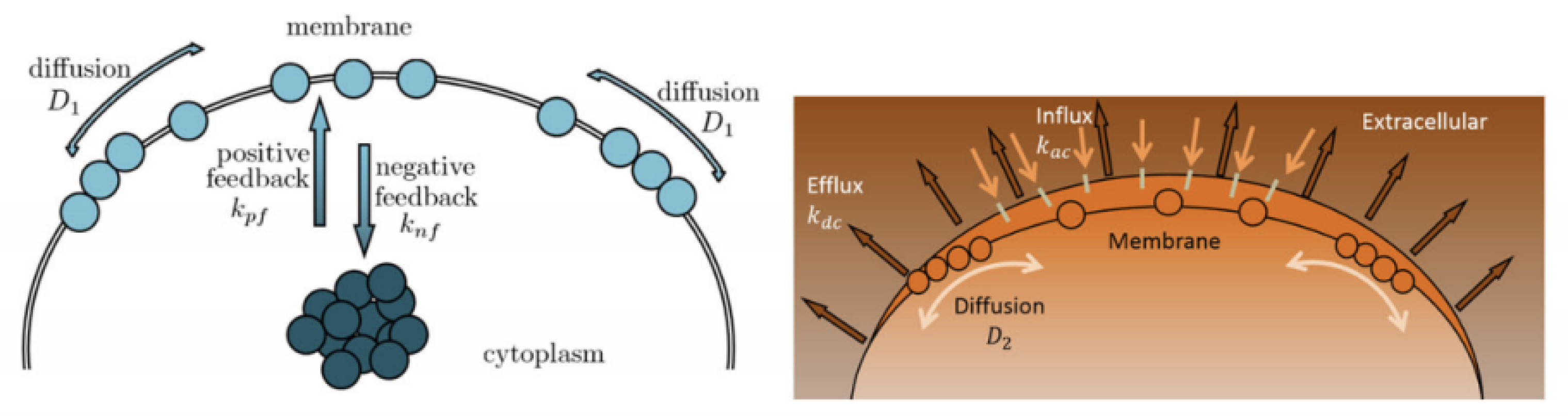 Entropy 25 00489 g001