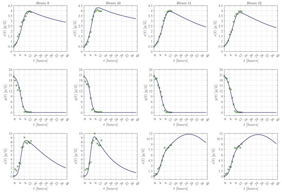 Mechanistic Modelling of Biomass Growth, Glucose Consumption and ...