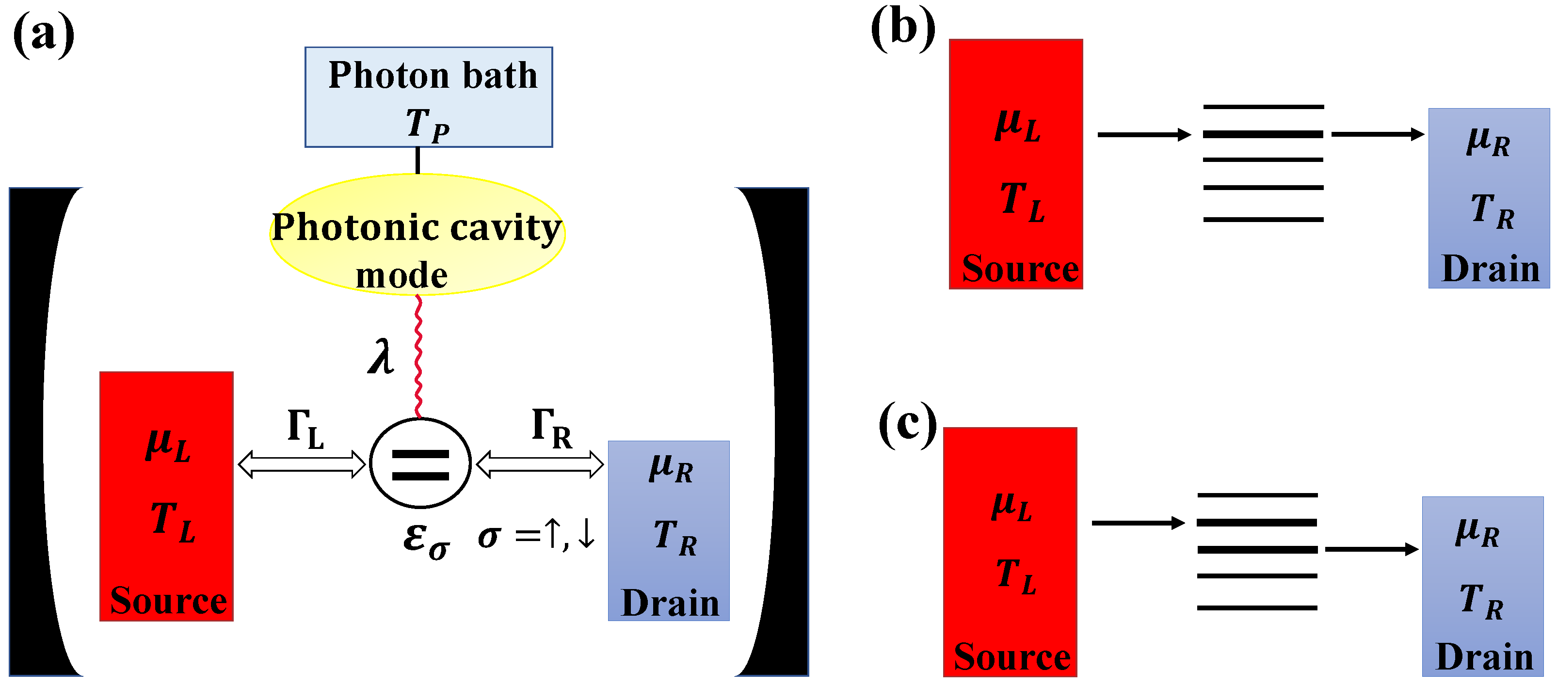 Thermoelectric Rectification and Amplification in Interacting Quantum ...