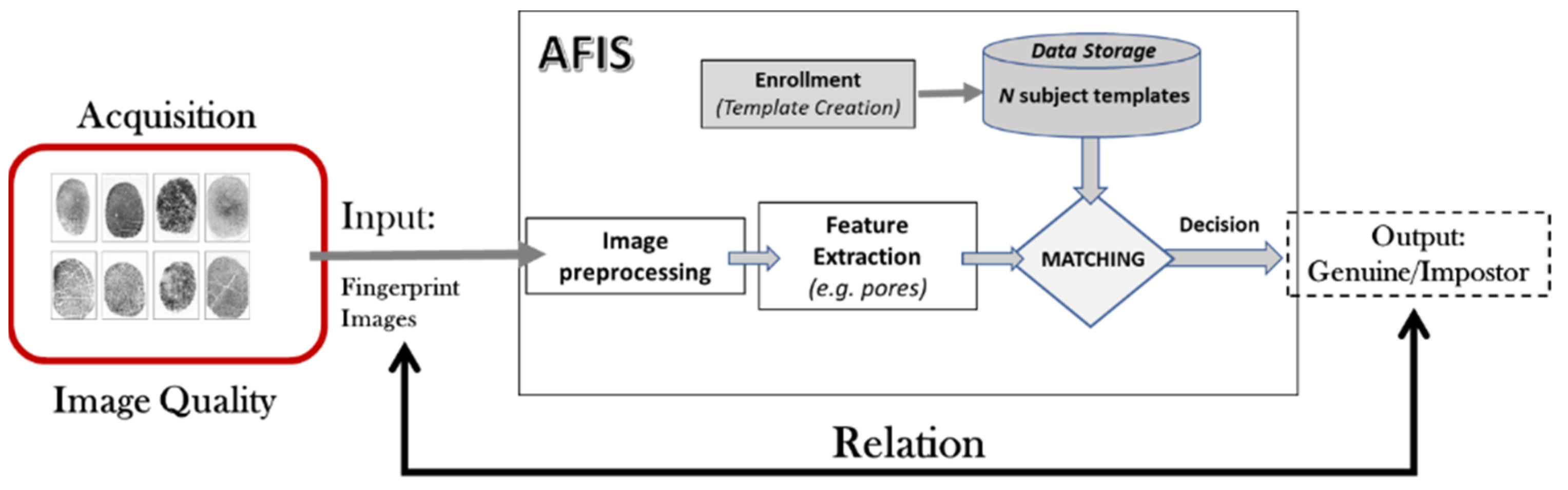 Entropy 25 00529 g001