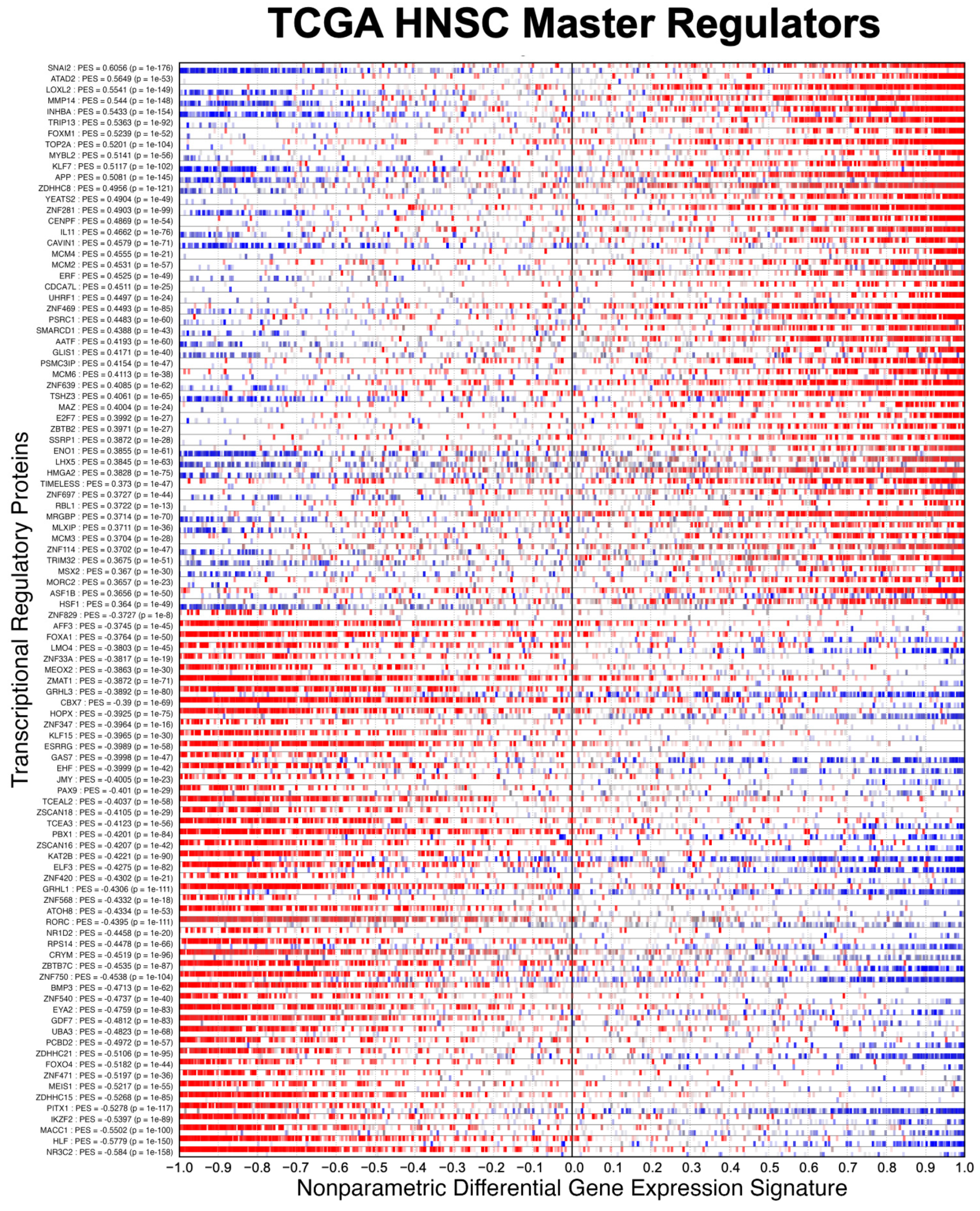Entropy 25 00542 g006
