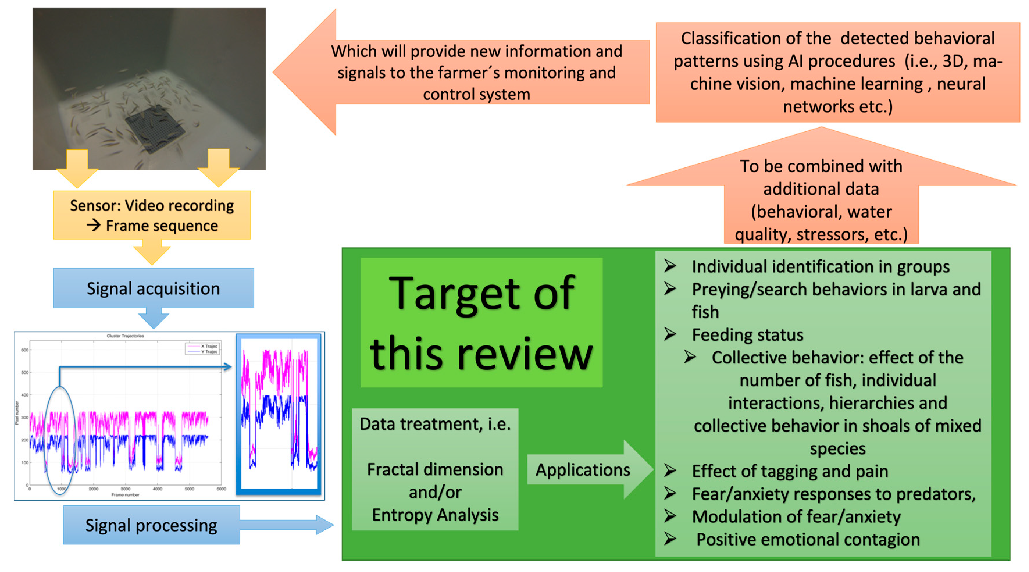 Entropy 25 00559 g001 Entropy 25 00559 g001
