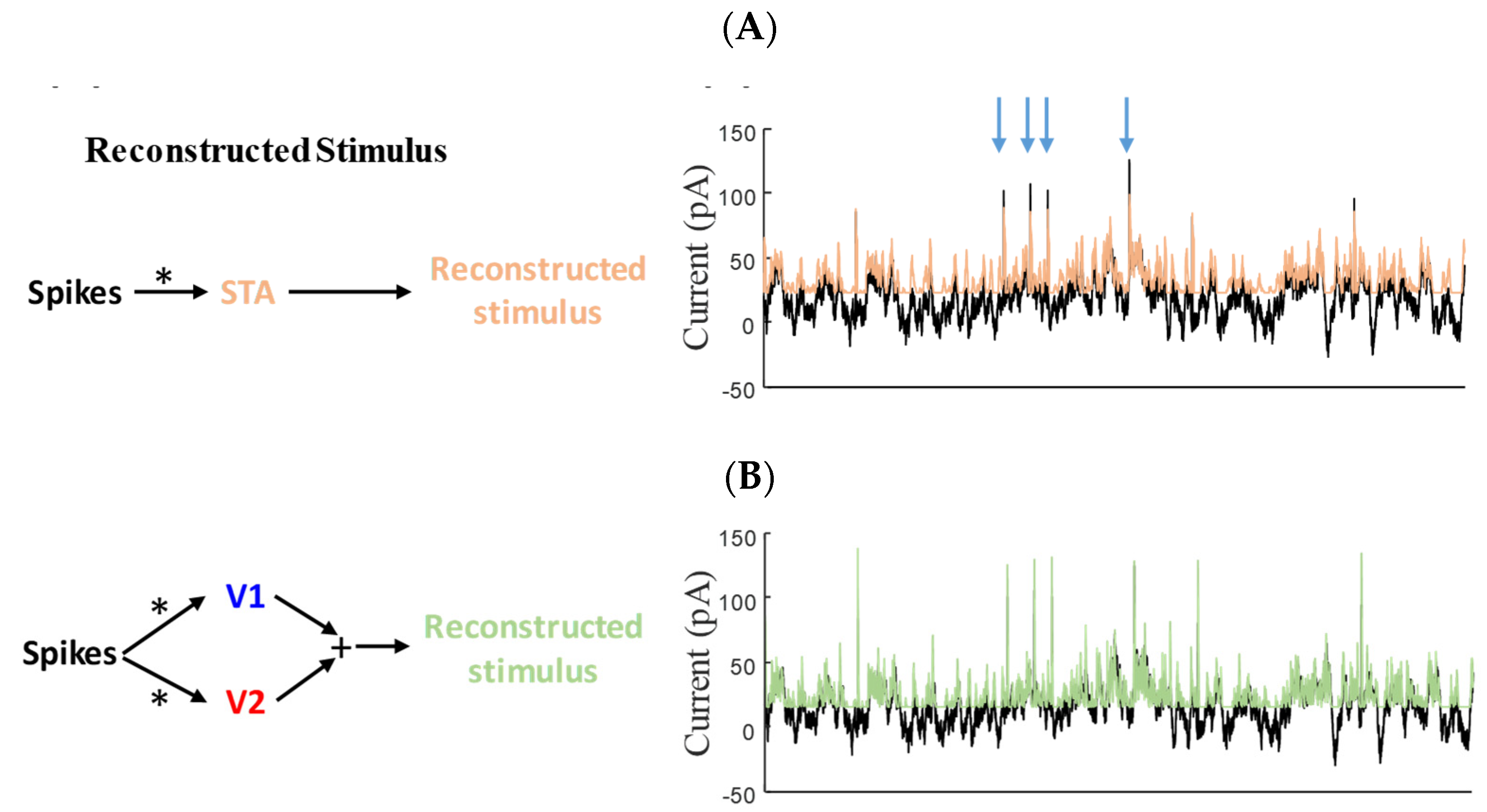 Entropy 25 00589 g003a Entropy 25 00589 g003a