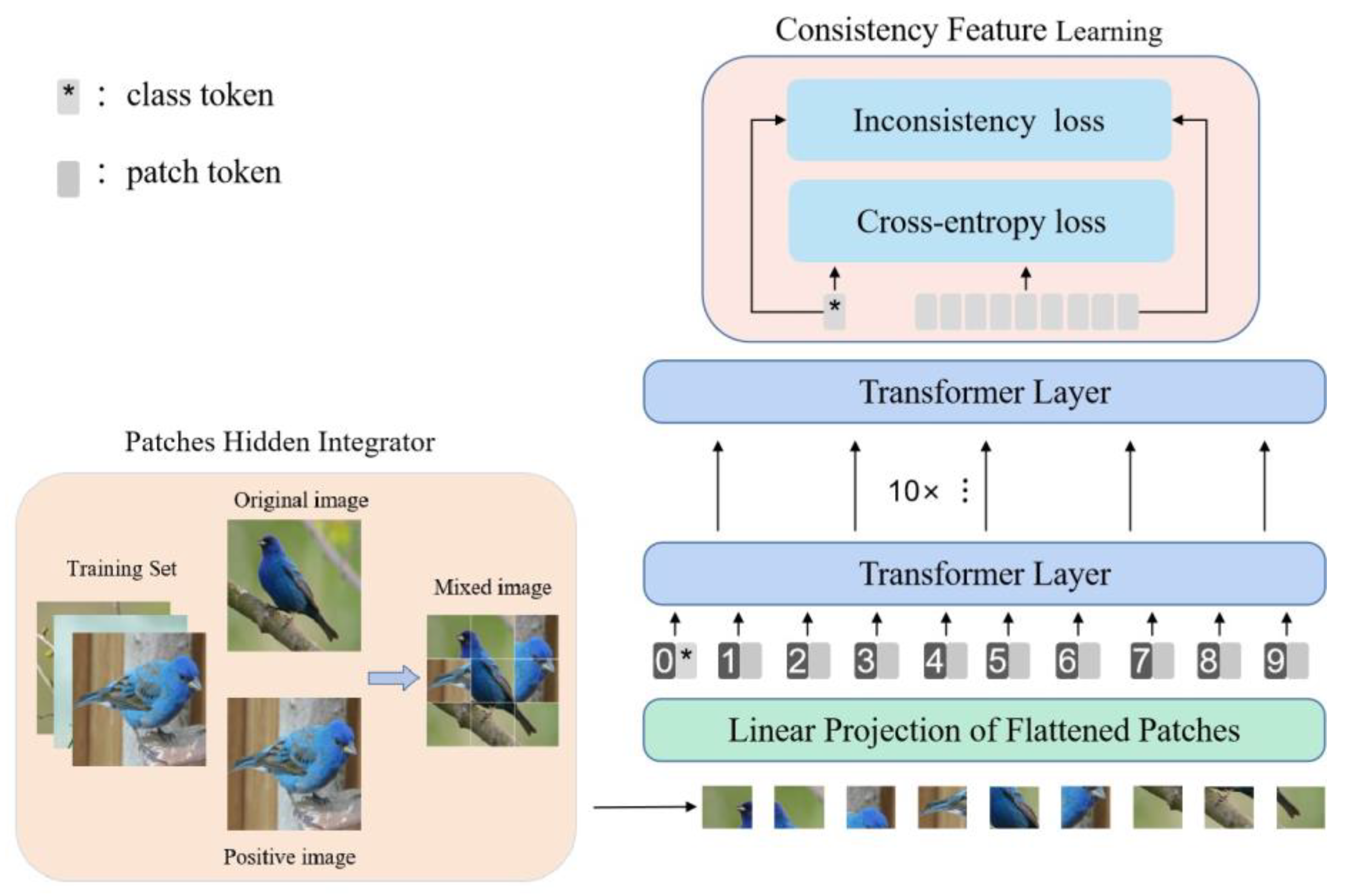 Entropy Free FullText Hybrid Granularities Transformer for Fine